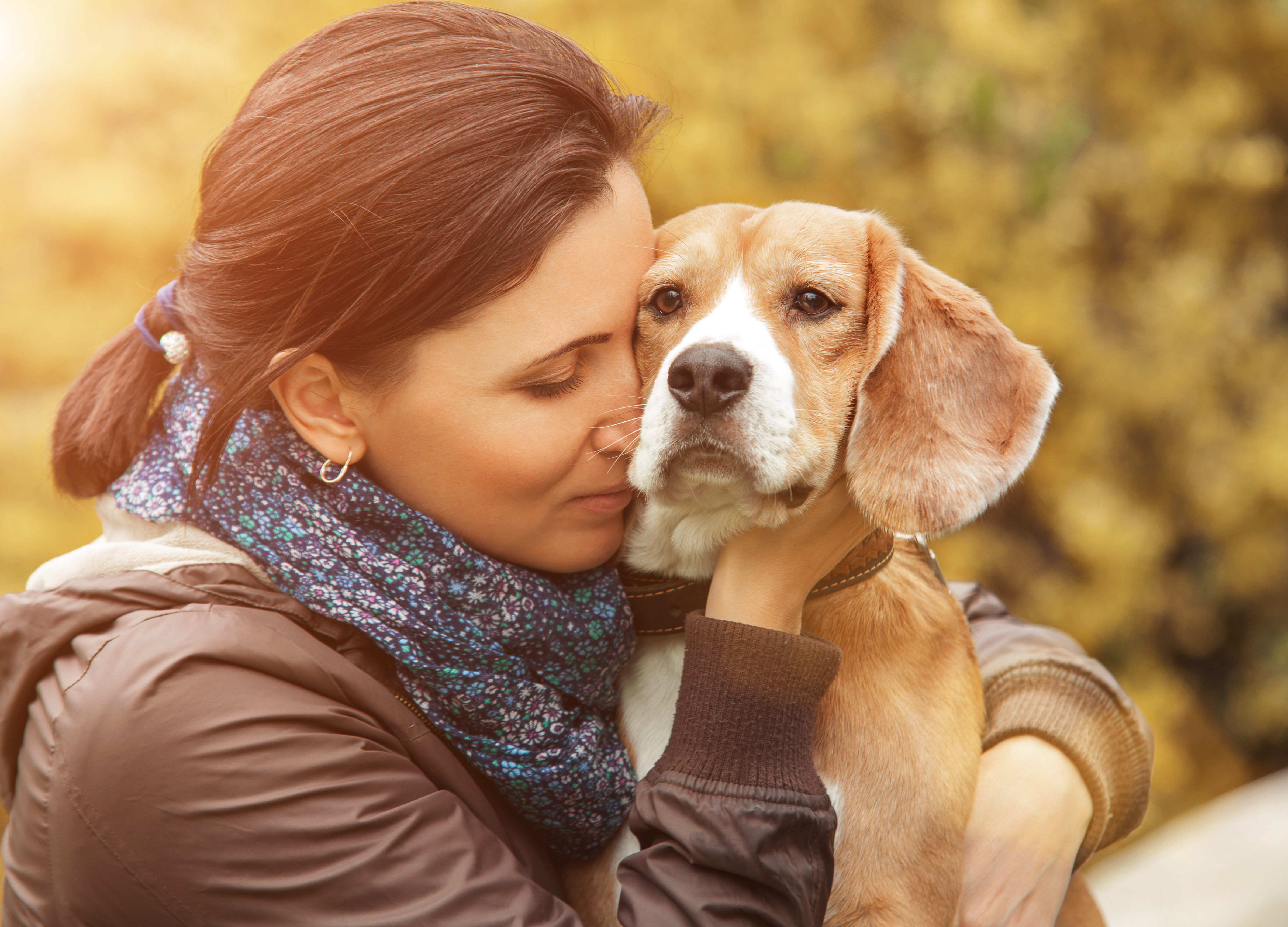 Animal Behaviorists Reveal Why Pets Mirror Our Stress More Than We Think