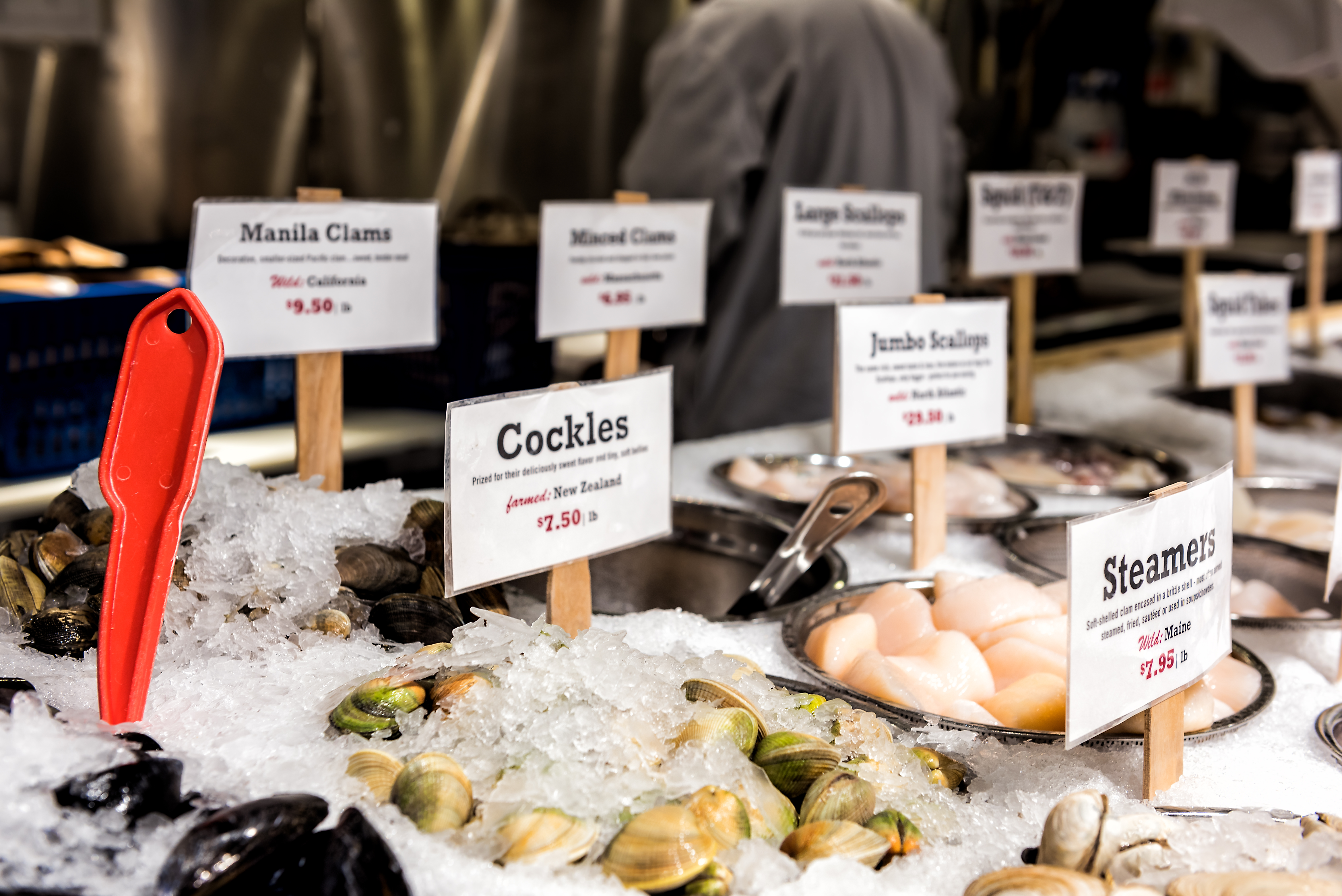 Latinos Catch the Fish. Why Aren’t They at the Decision-Making Table? | Opinion