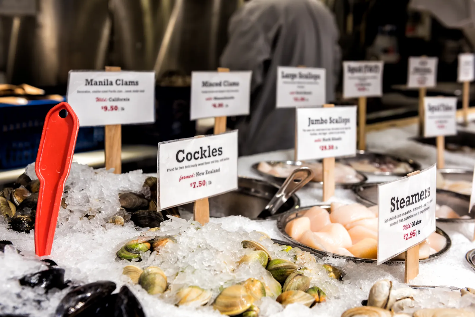 Latinos Catch the Fish. Why Aren’t They at the Decision-Making Table? | Opinion