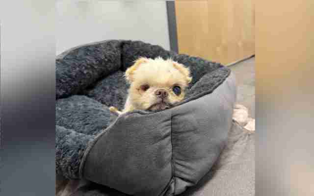 Igor não foi identificado.