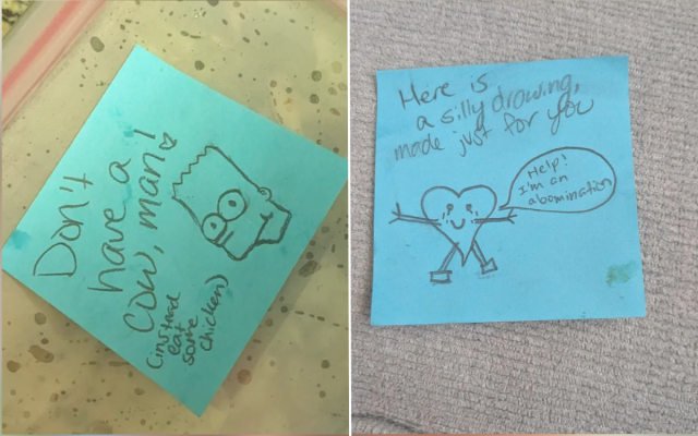 Aubrey's notes to Richard