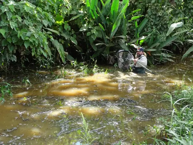 Heinz Arno Drawert in the location.