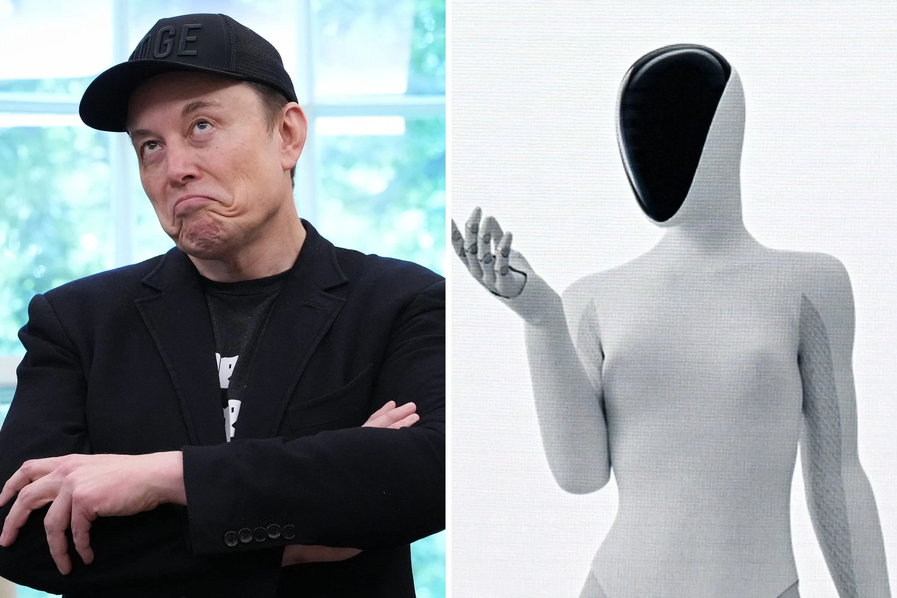 傳統智慧：馬斯克的付費搶劫版