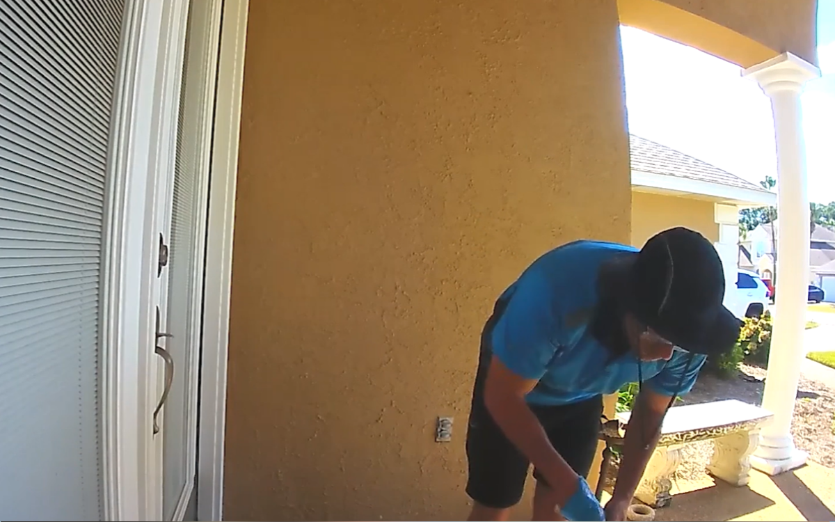 Amazon Driver Sees Food Left for Stray Cats—Ring Cam Captures What He Does