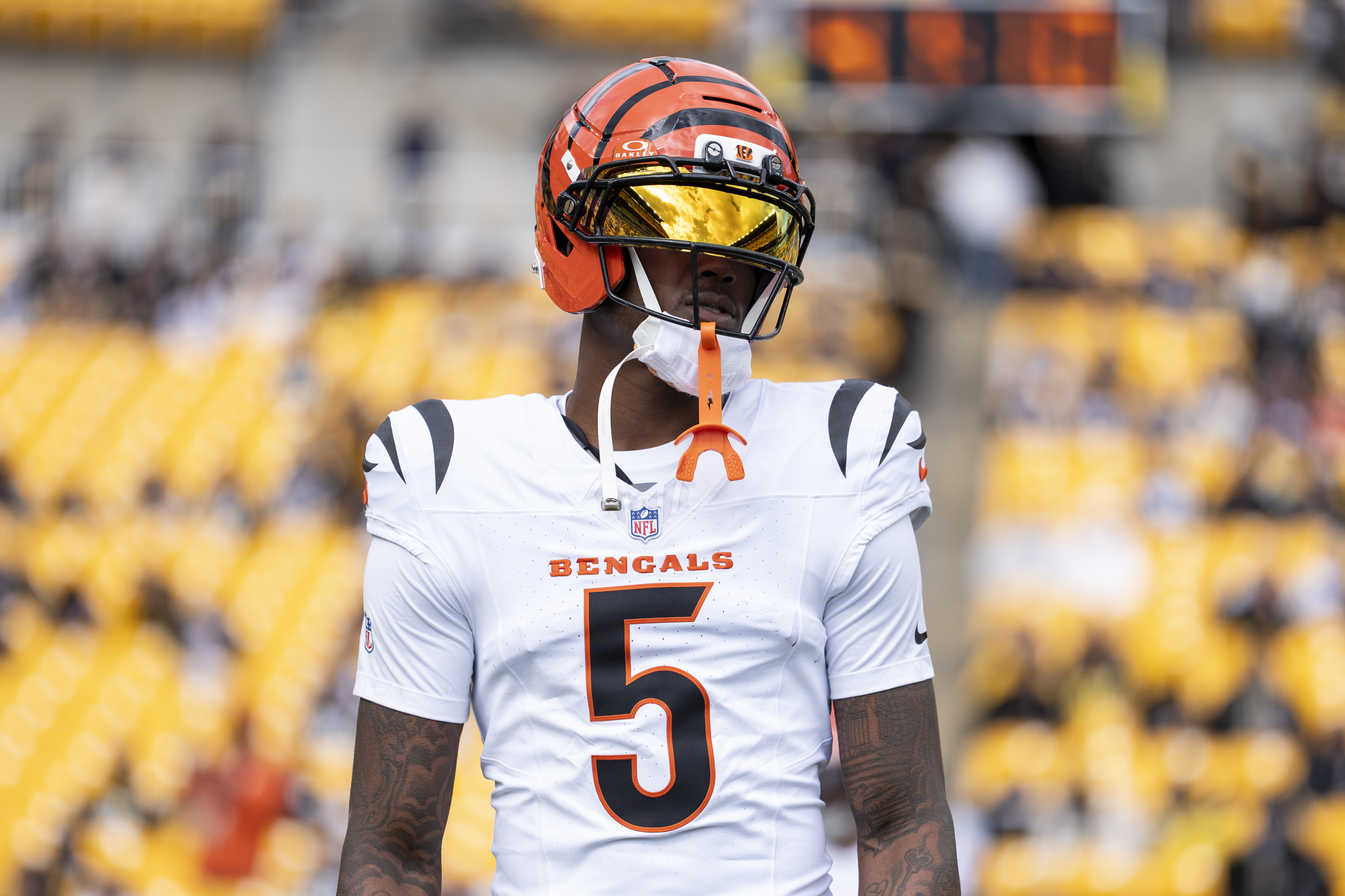 Bengals' Tee Higgins Receives Bad Injury Update From Sports Doctor