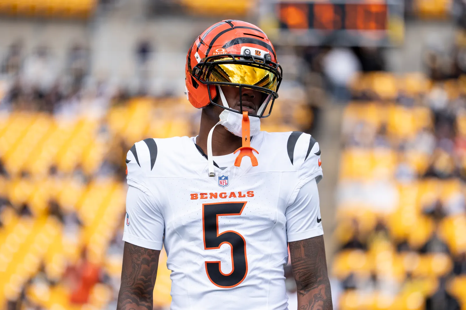 Tee Higgins, Cincinnati Bengals