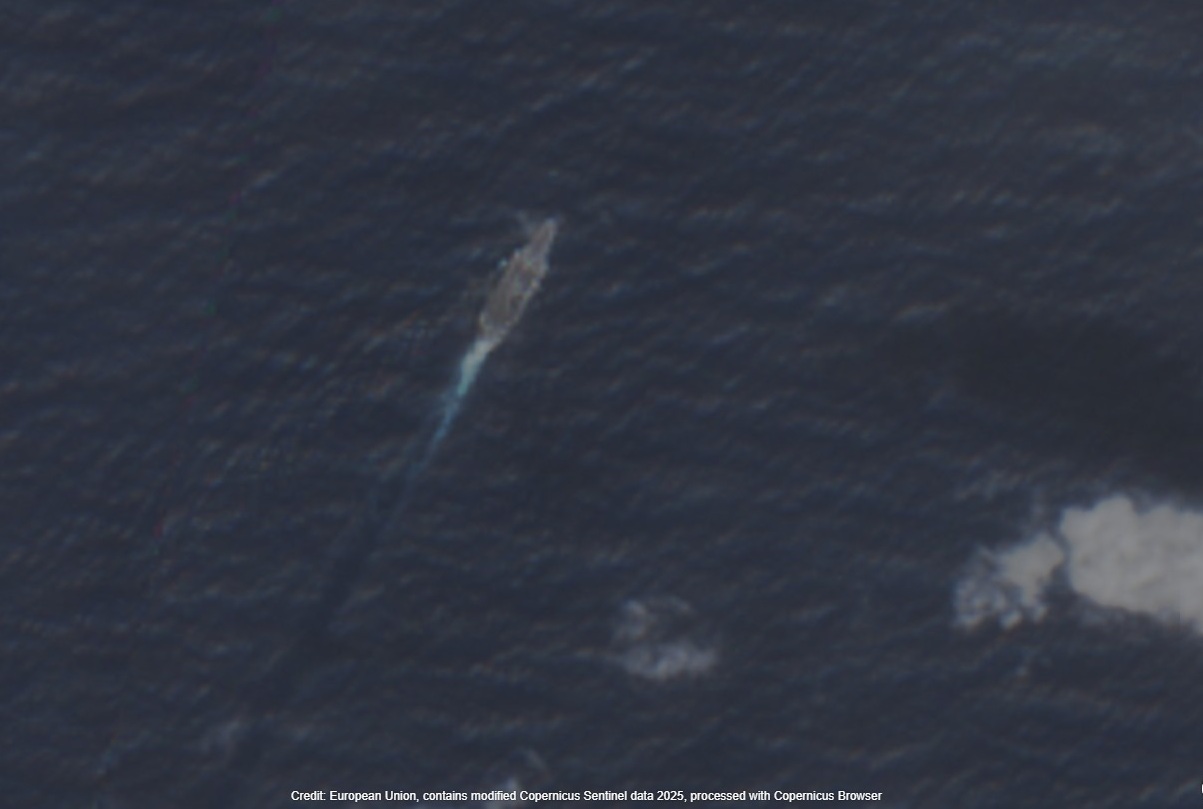 Satellites Show US Carrier Strike Group in Contested South China Sea