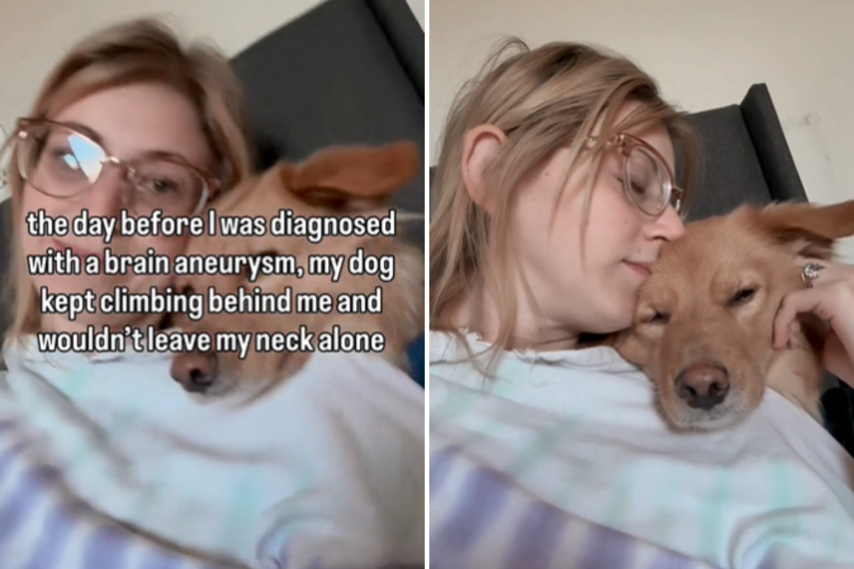 Woman Notices Dog Acting Strange, Next Day She Gets Life-Changing Diagnosis