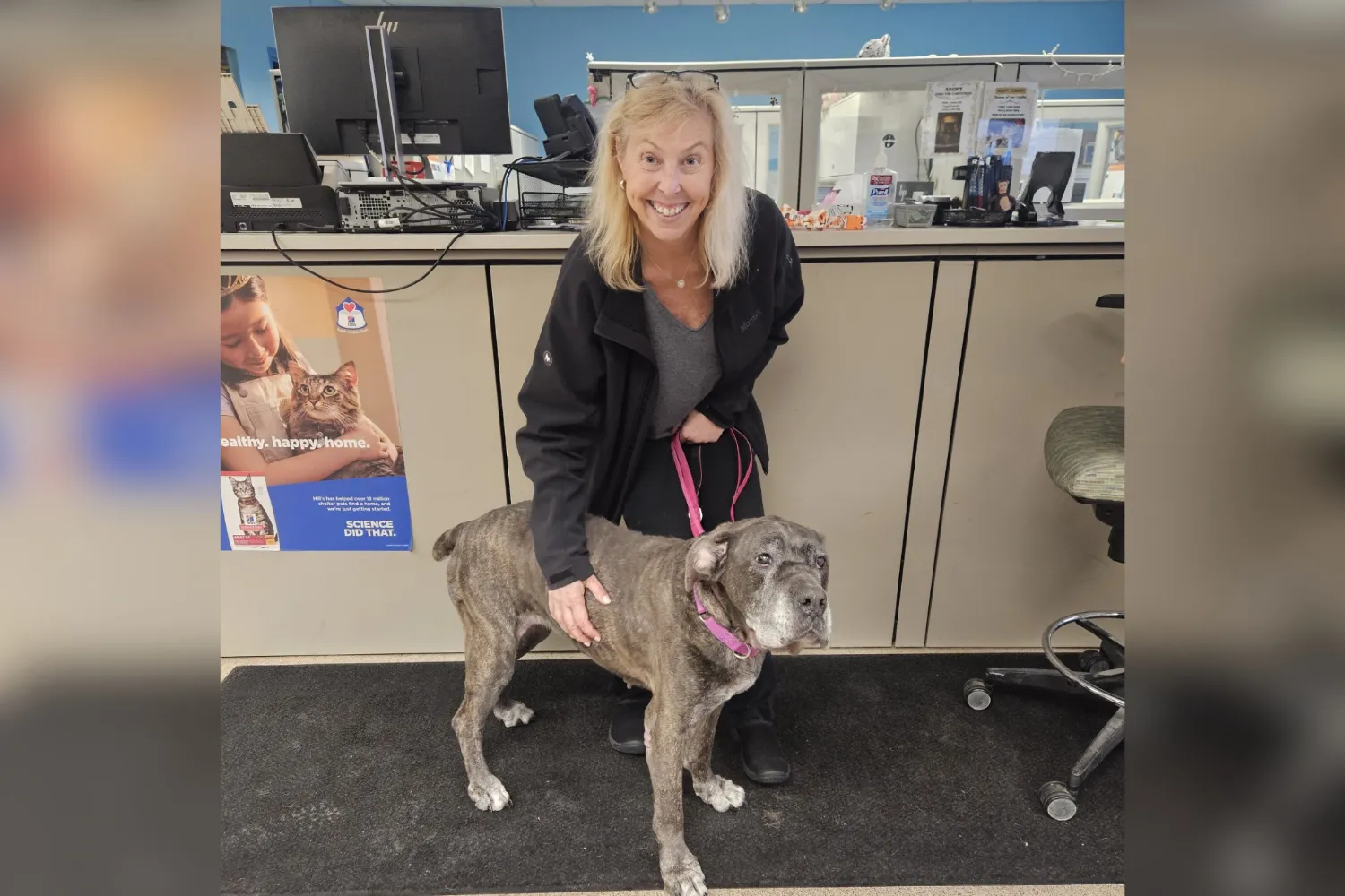 Tears As Senior Shelter Dog Adopted for Thanksgiving To Spend Her Last Days