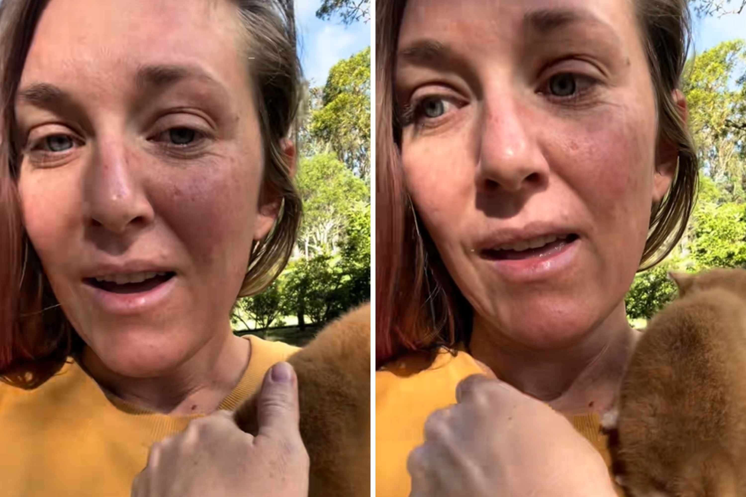 Woman on Morning Walk Makes Life-Changing Discovery: ‘Chosen Us’