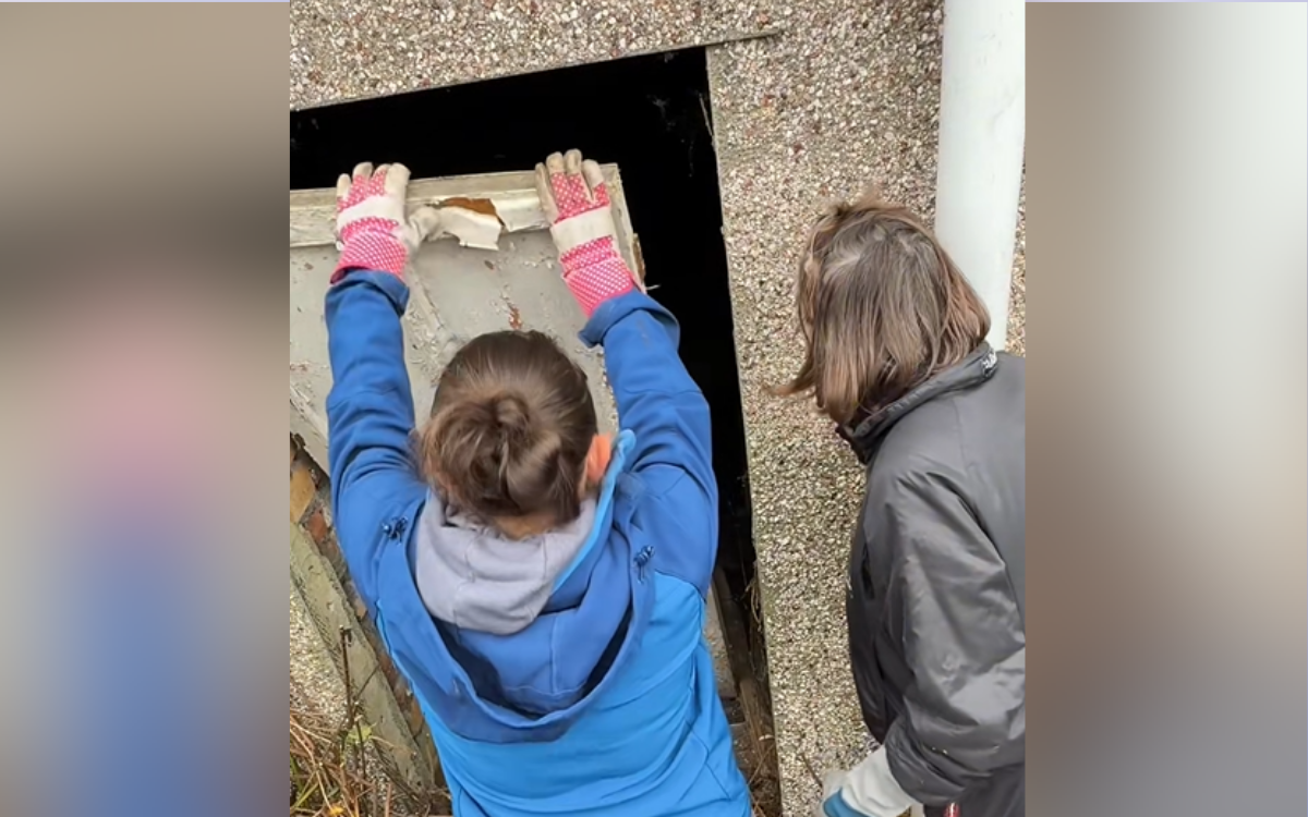 Woman Buys House, Finds Mystery Door in Garden With Big Surprise Behind It