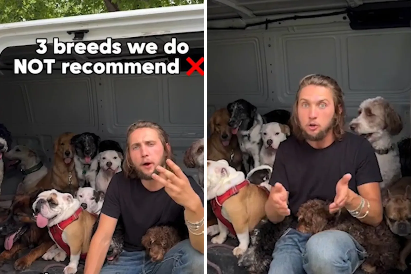 Dog Trainer Reveals 3 Breeds To Avoid if You’re a First Time Owner