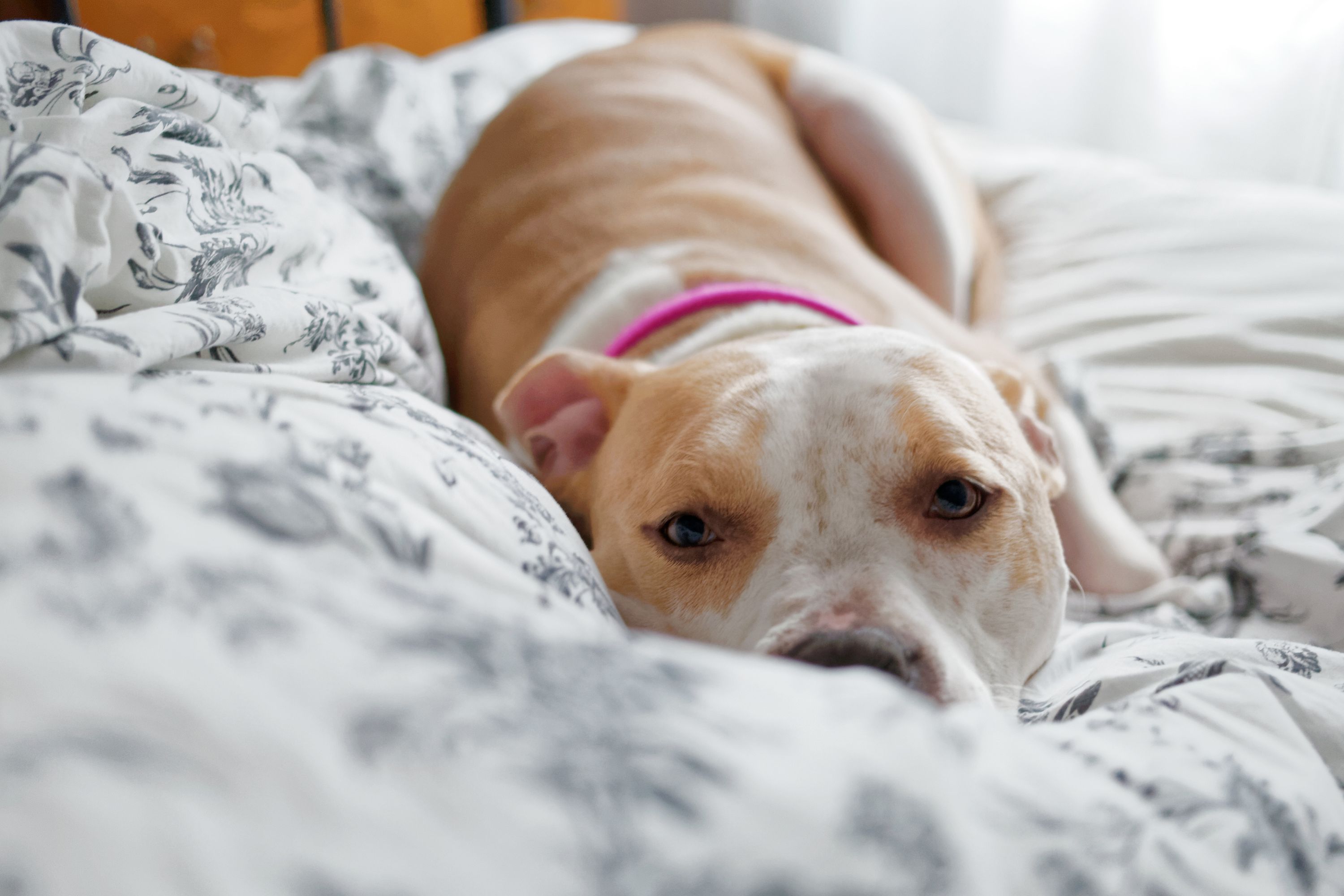 Woman Apartment-Hunting in LA Can’t Believe the One Question Realtor Asks