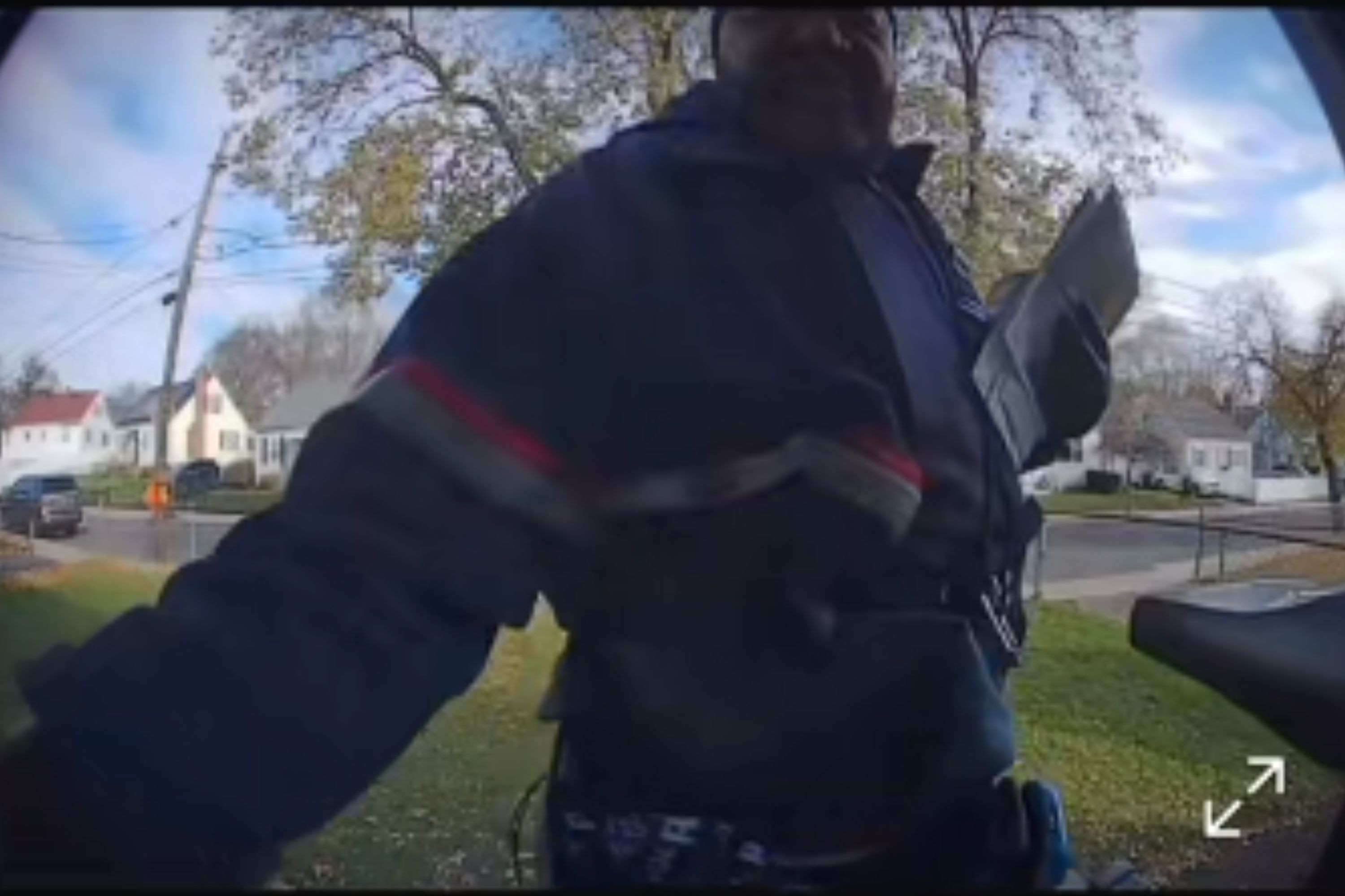 Mailman Rings Doorbell—Camera Captures Dog's Unexpected Reaction