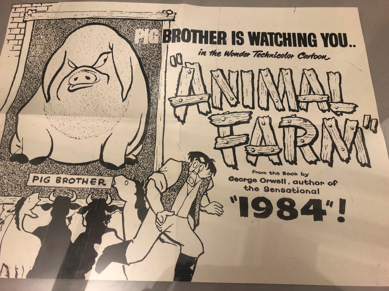 newsweek.com - Marni Rose McFall - Animal Farm: Studio response to criticism of new film