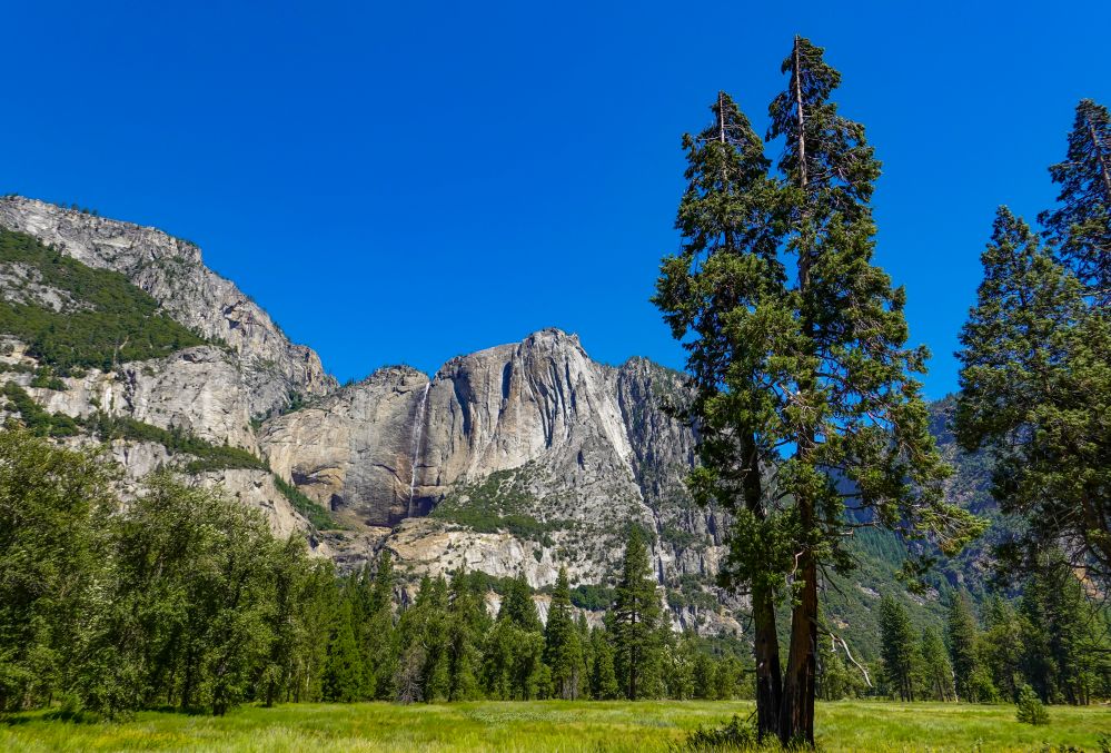 NATIONAL PARKS FREE DAYS MLK visual data 5