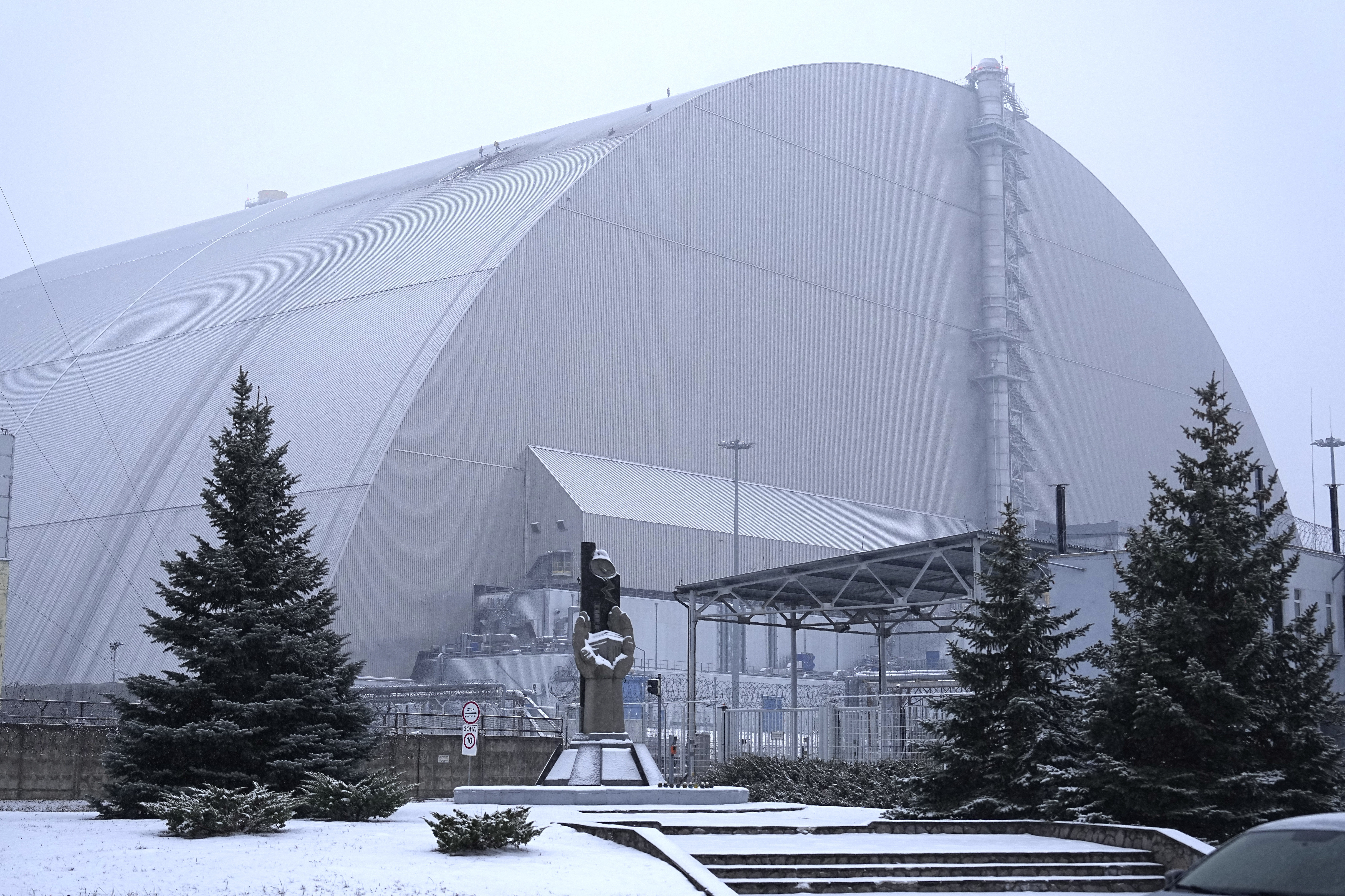 Strange Chernobyl Black Fungus May Eat Radiation