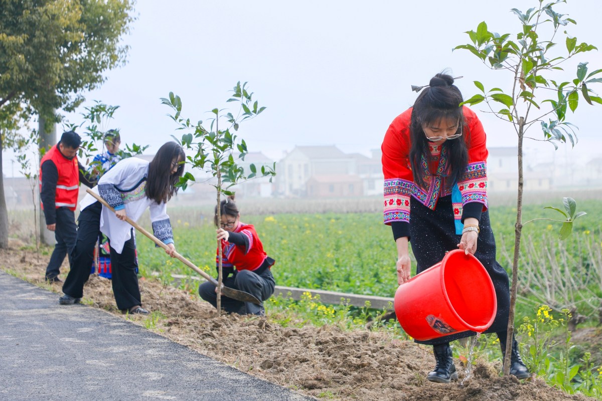 China's 'Green Great Wall' Project Fights Desertification
