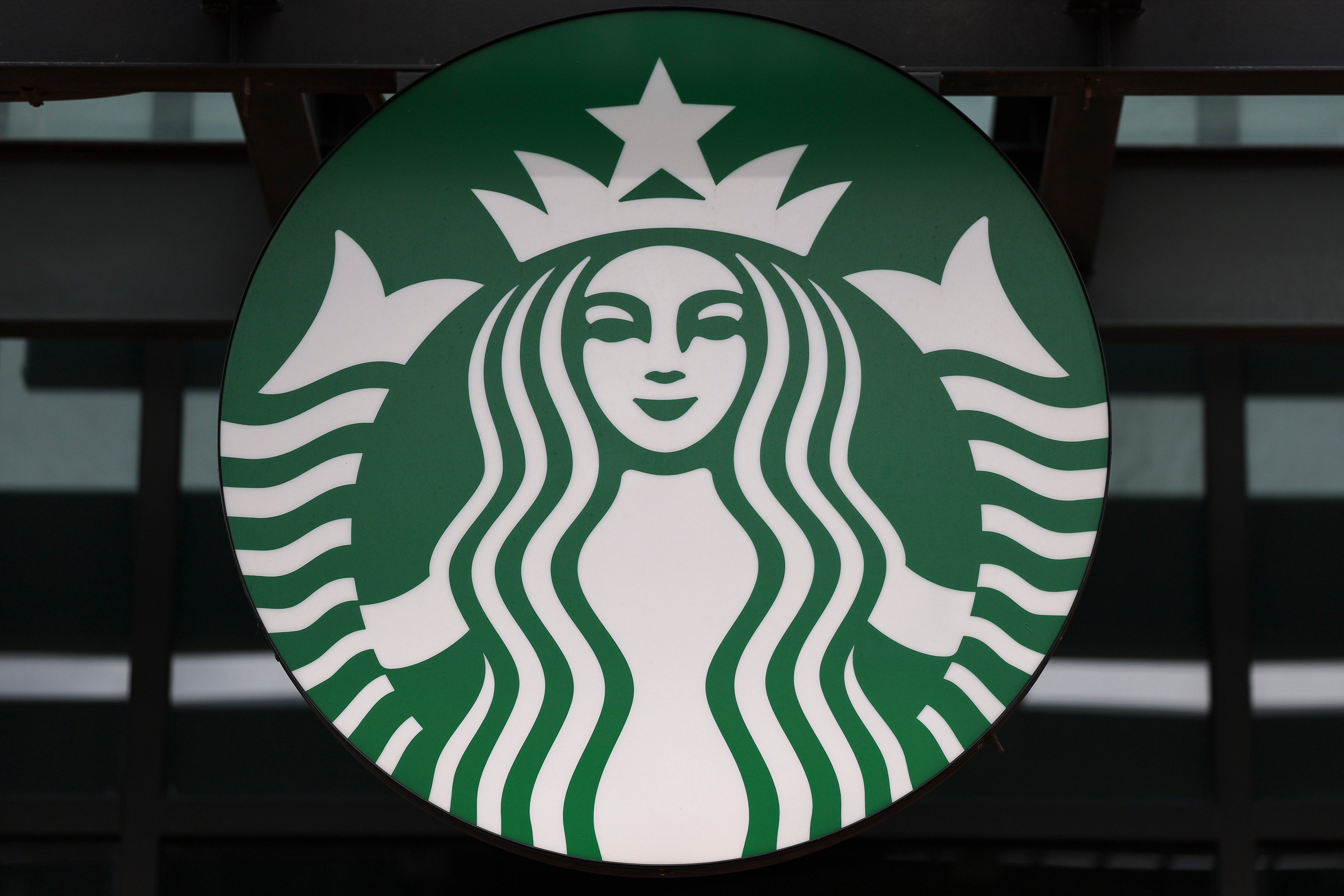 Starbucks Teases Return of Bearista Cup Fan Favorite