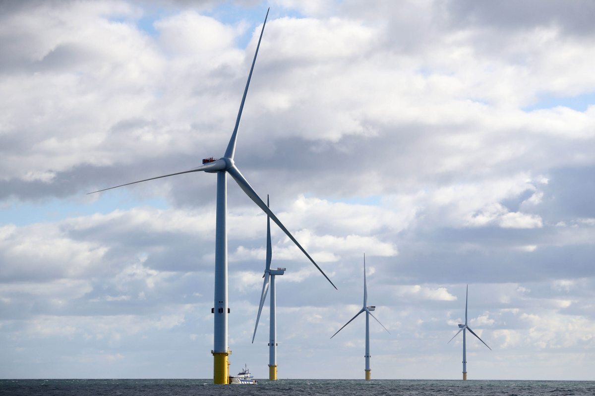 Judge Strikes Down Donald Trump's Executive Order on Wind Energy