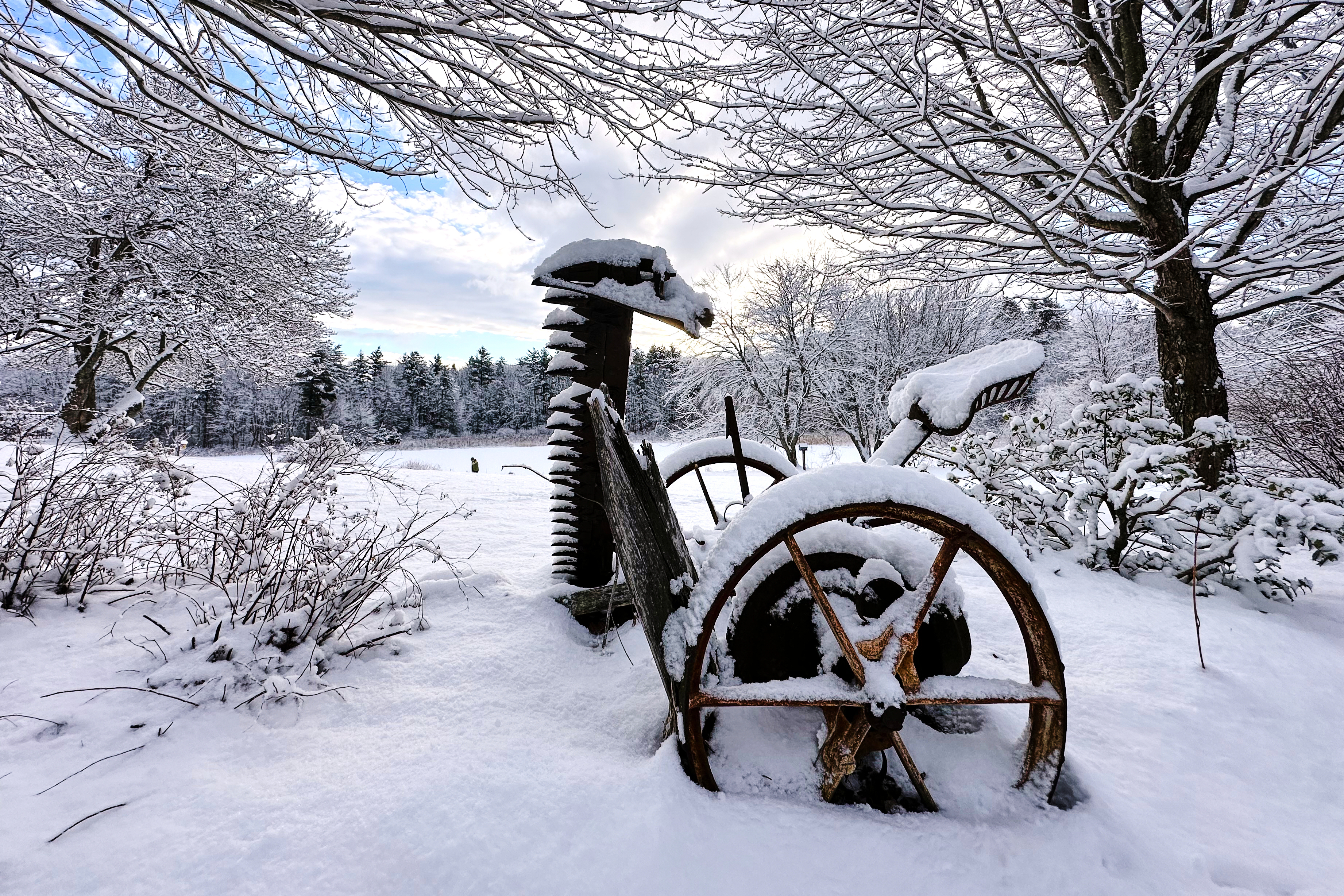 Snowstorm Slams into the Northeast as Winter Storm Warning Issued Through Saturday—Live Updates