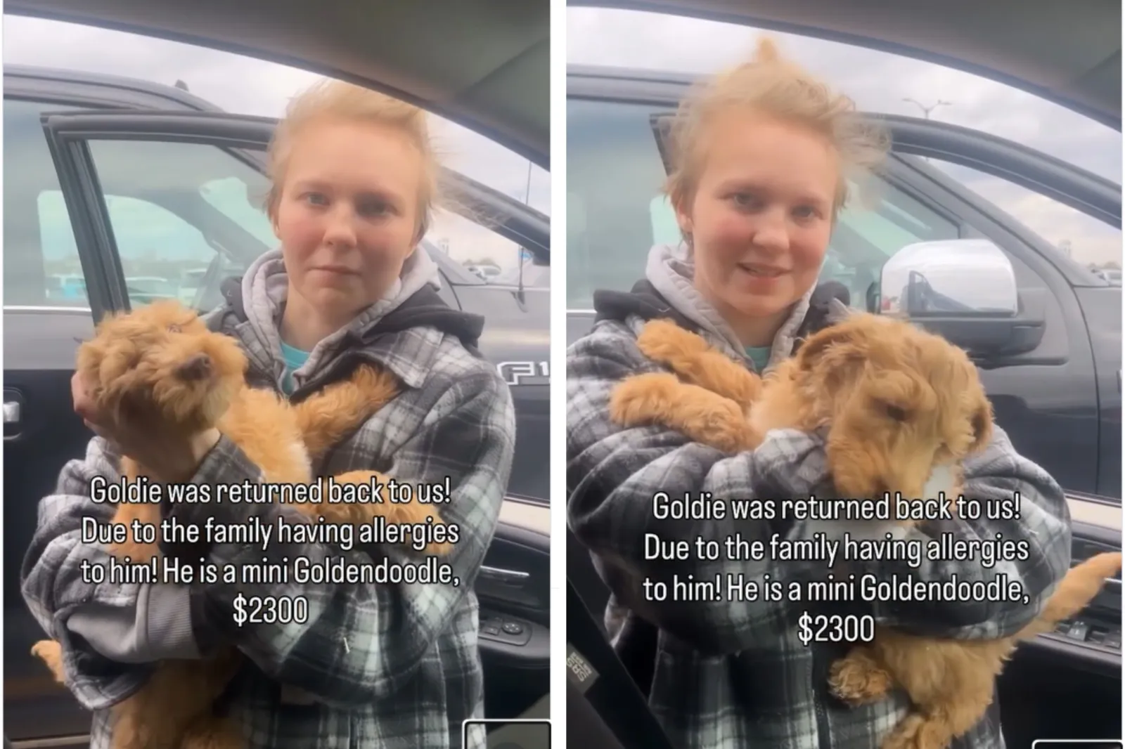 The Heartbreaking Return of a Mini Goldendoodle Puppy: A Reflection on Family Choices