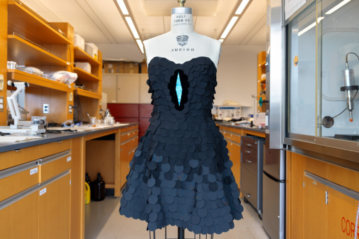 Is This Peak LBD? Scientists Reveal Dress Made With Darkest Ever Fabric