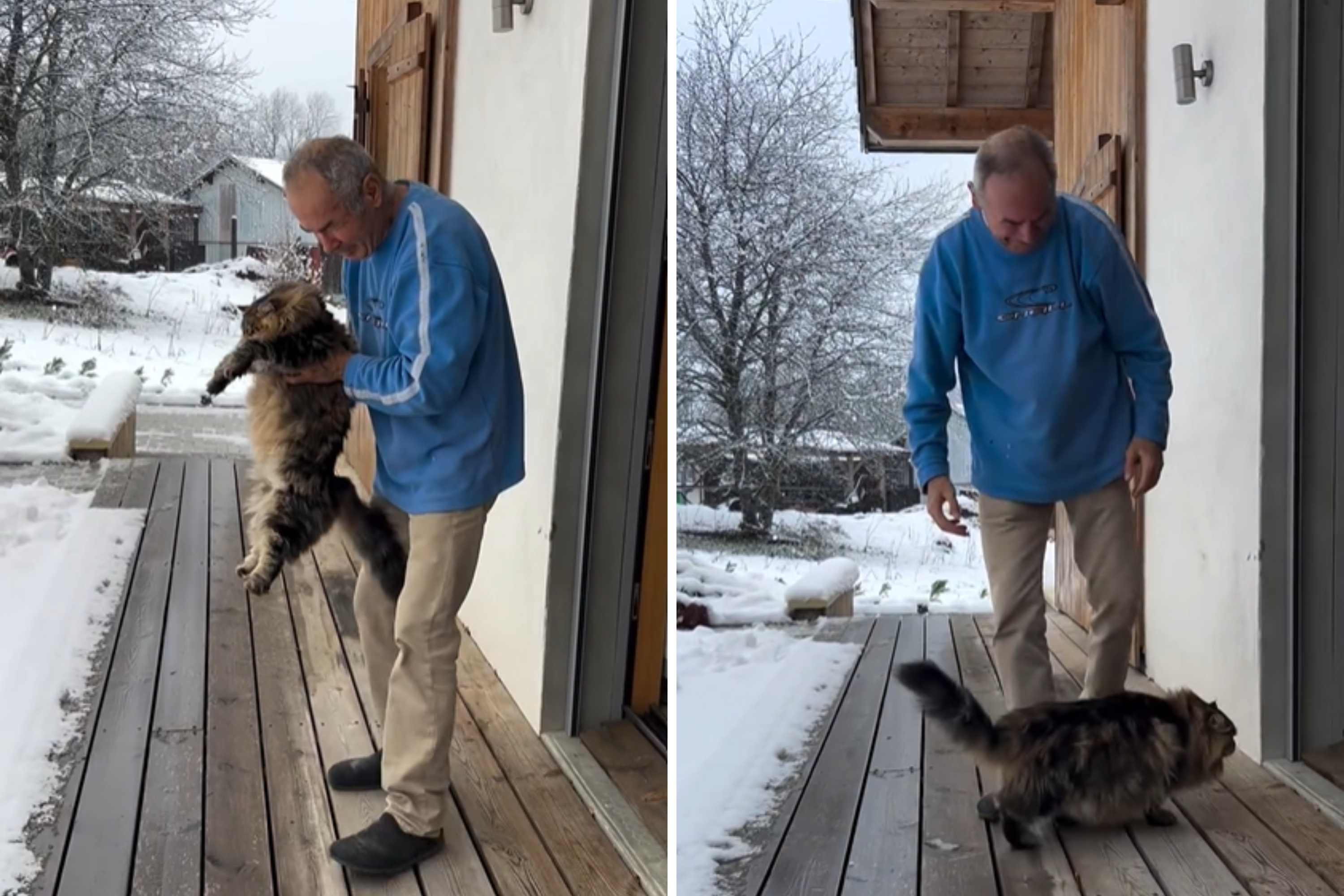 Owner Introduces Siberian Cat to Snow—Then Sees His Reaction