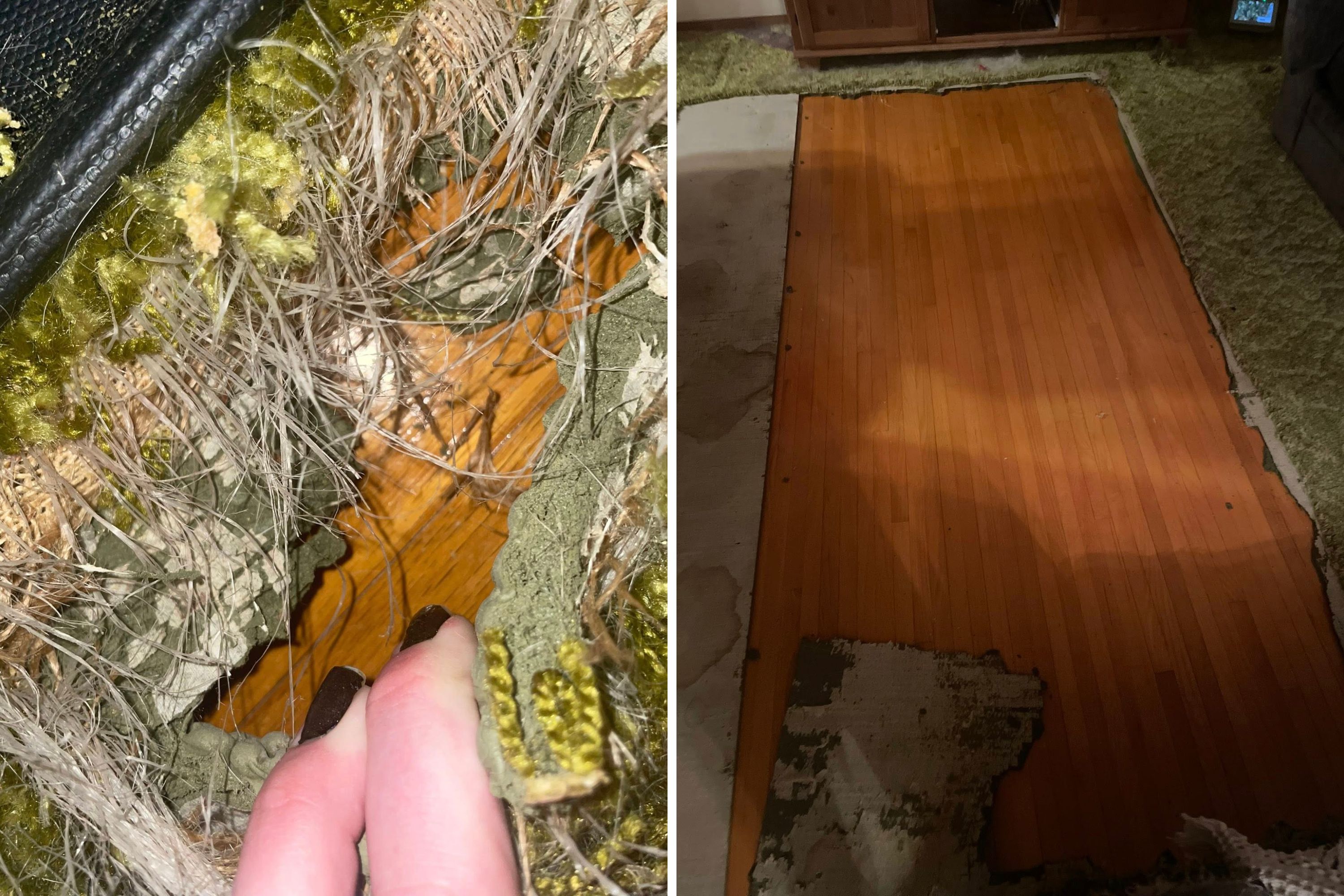 Dog Ruins Carpet—What’s Underneath Ends Up Being the Best Christmas Present