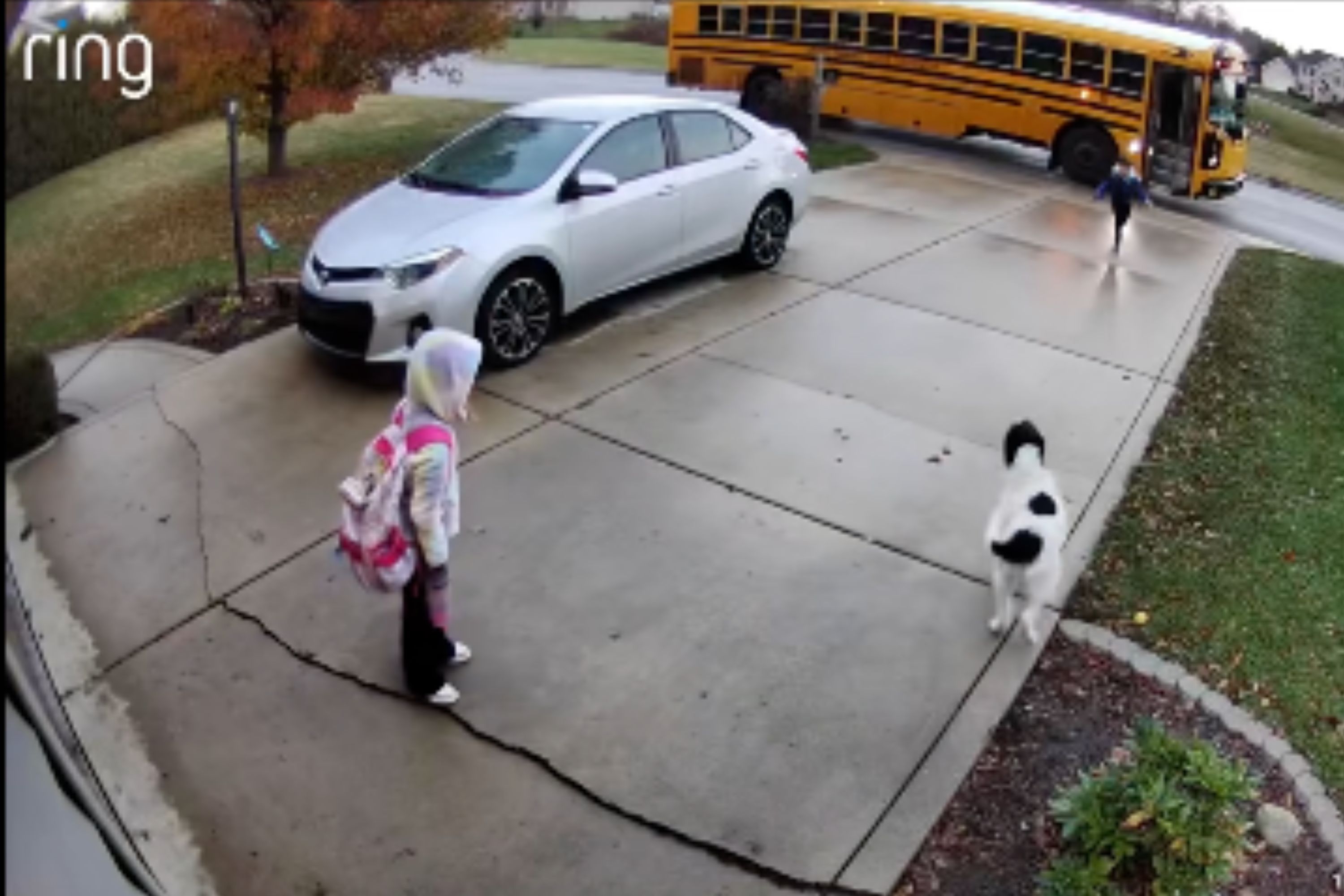 Cam Captures Kids Returning From School—It’s Very Clear Dog Has a Favorite