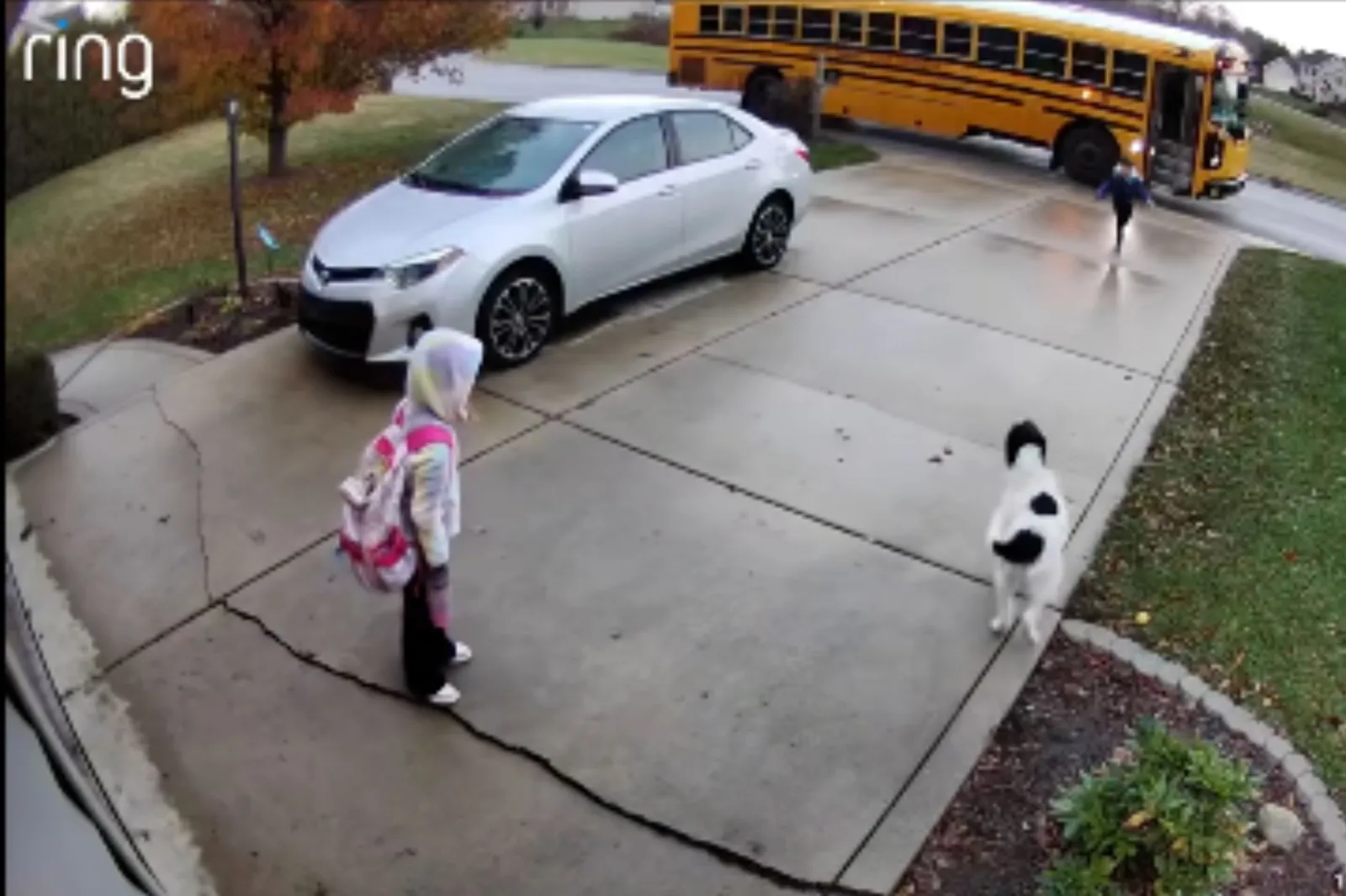 Cam Captures Kids Returning From School—It’s Very Clear Dog Has a Favorite