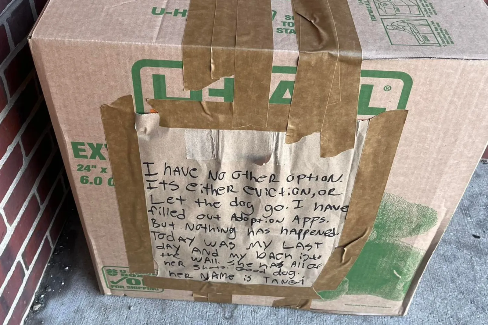 Shelter Finds Taped Box With Note in the Cold—Can’t Believe What’s Inside
