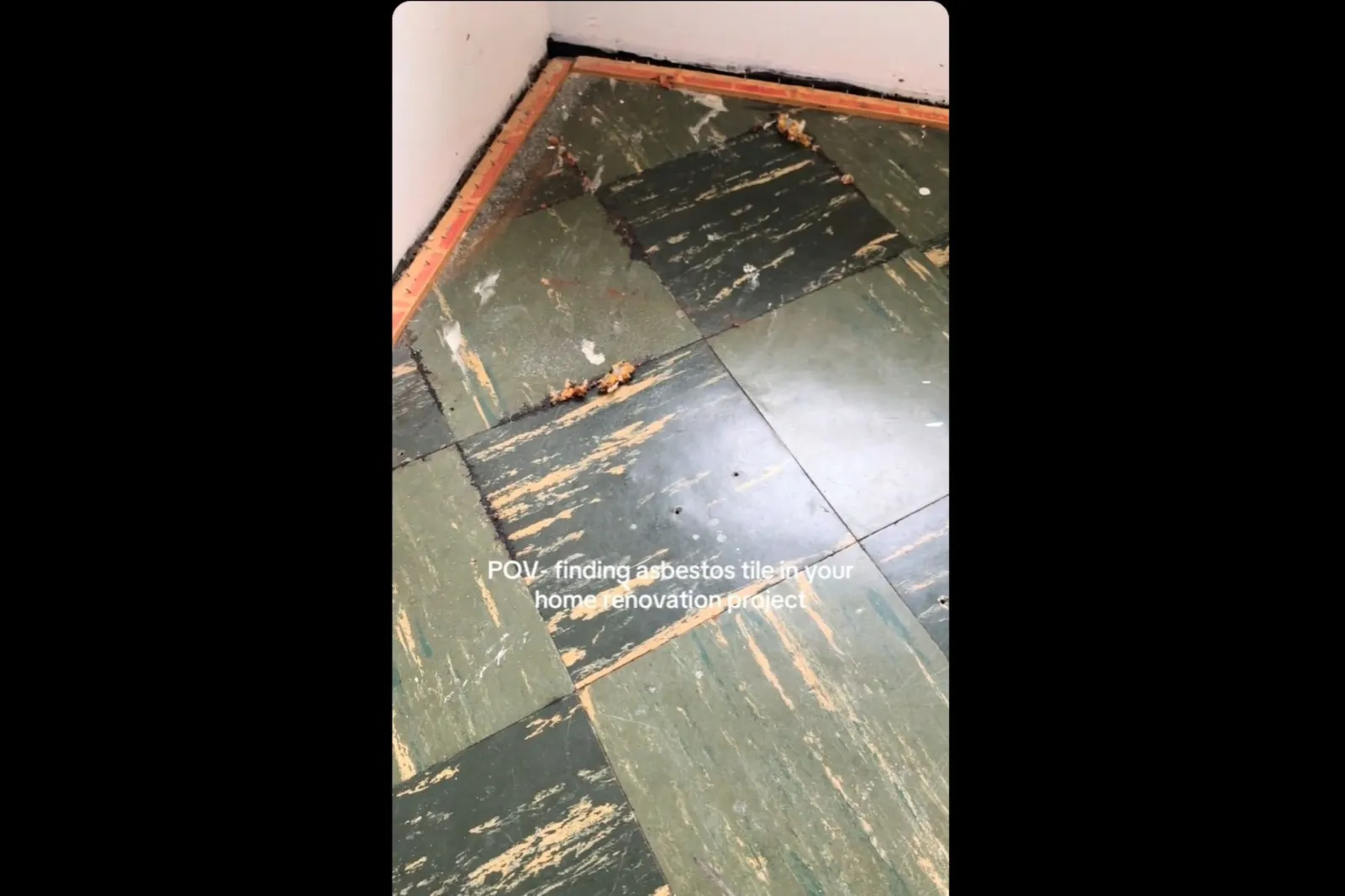 The Surprising Dangers Beneath Our Feet: A TikTok Revelation