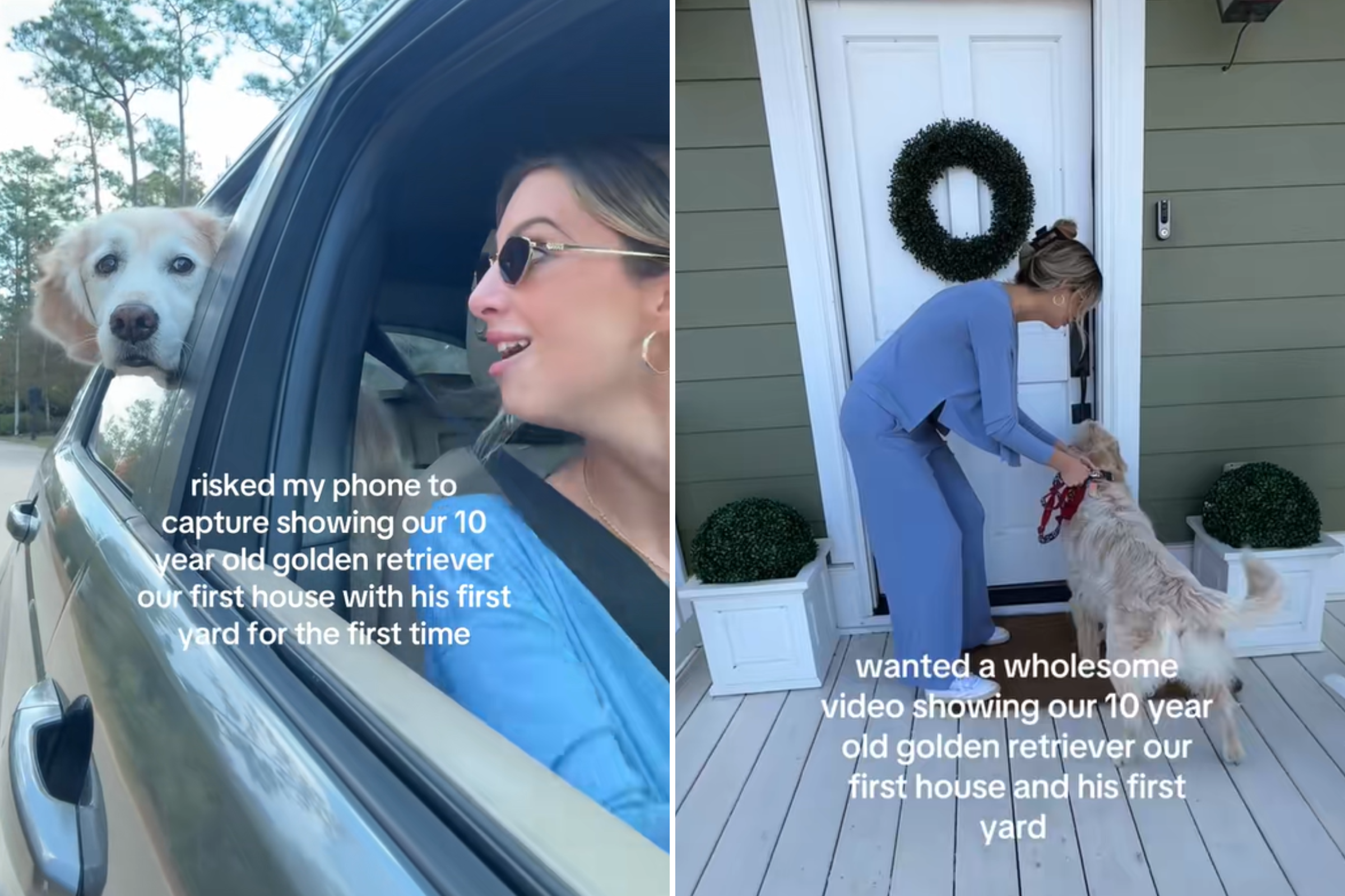 Senior Golden Retriever Shown First Back Yard, Doesn’t Go As Owner Planned