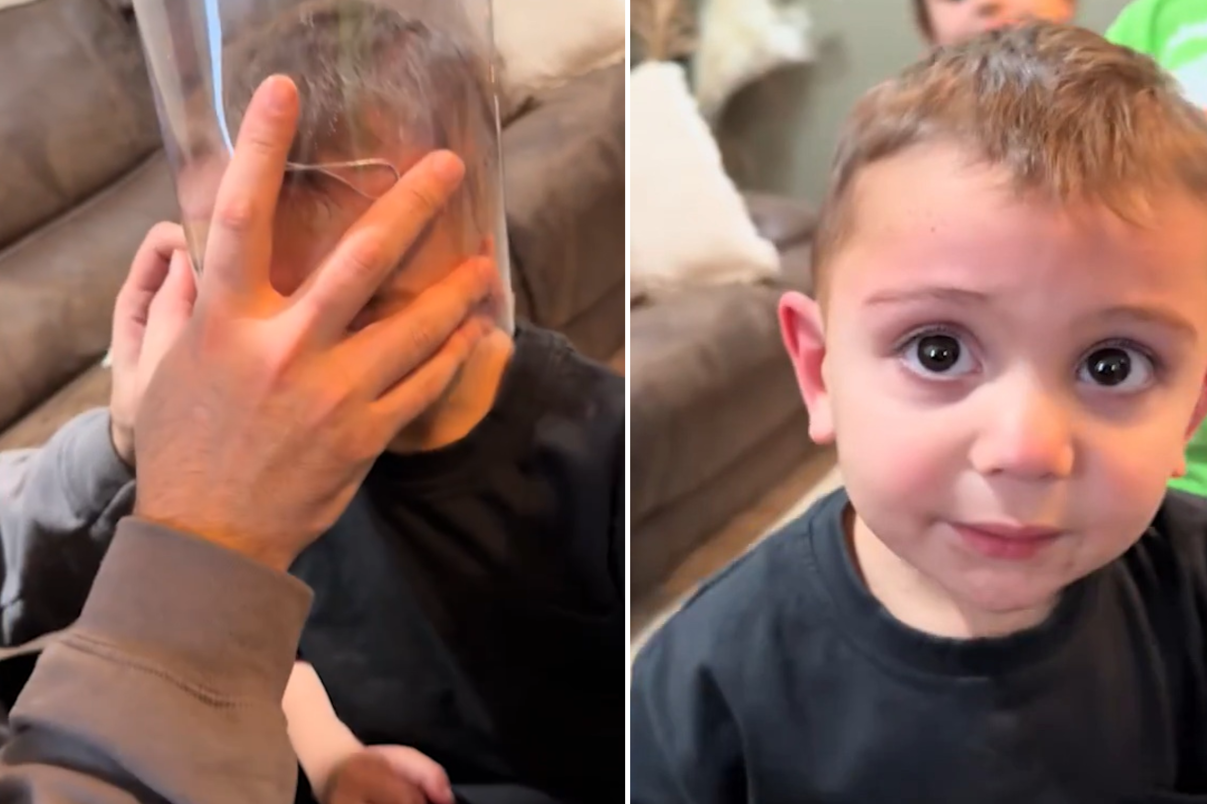 Mom Decorate Christmas Tree, Then Realizes What’s Stuck on Toddler’s Head