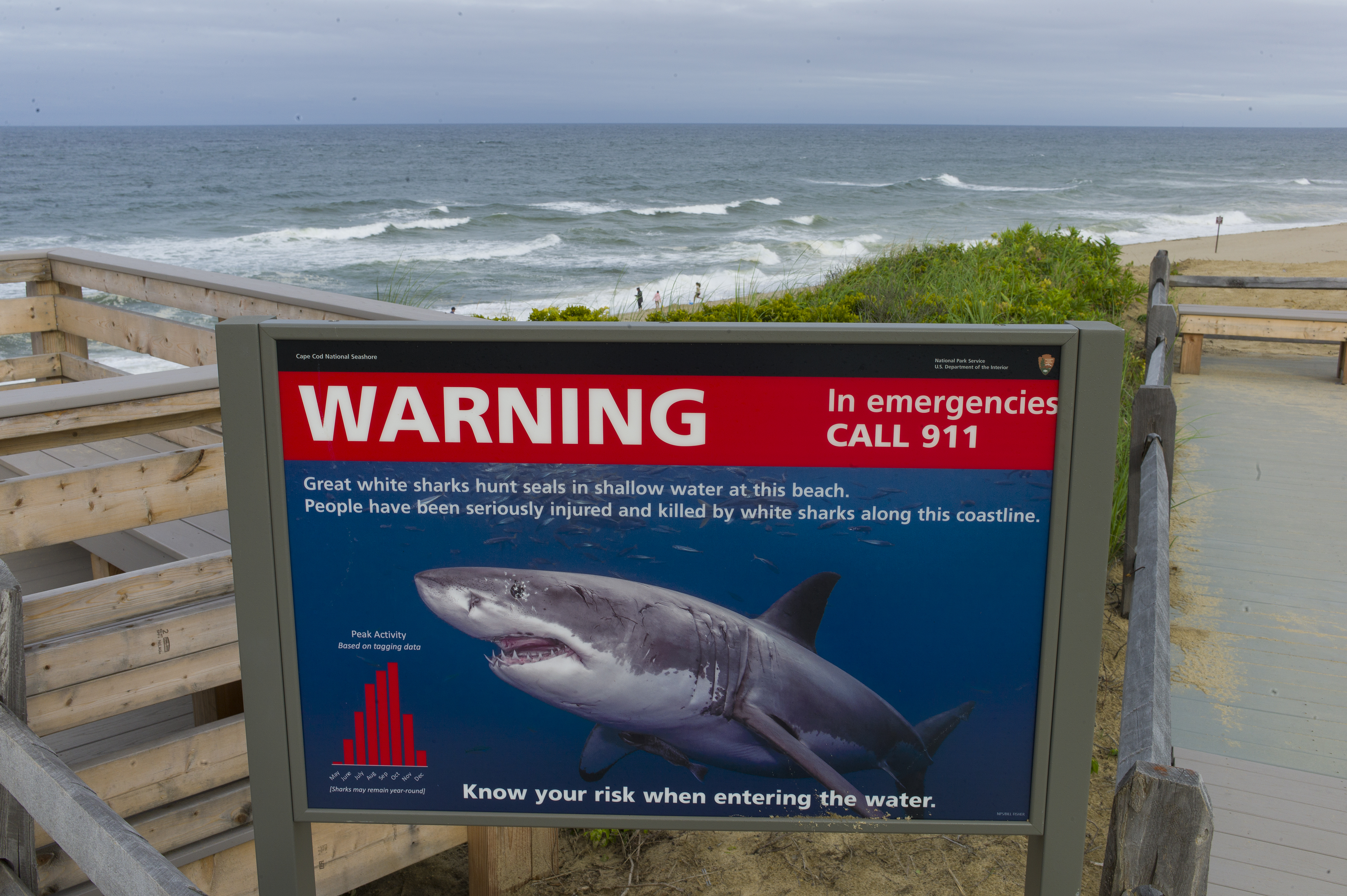 California Beaches Closed After Possible Shark Attack
