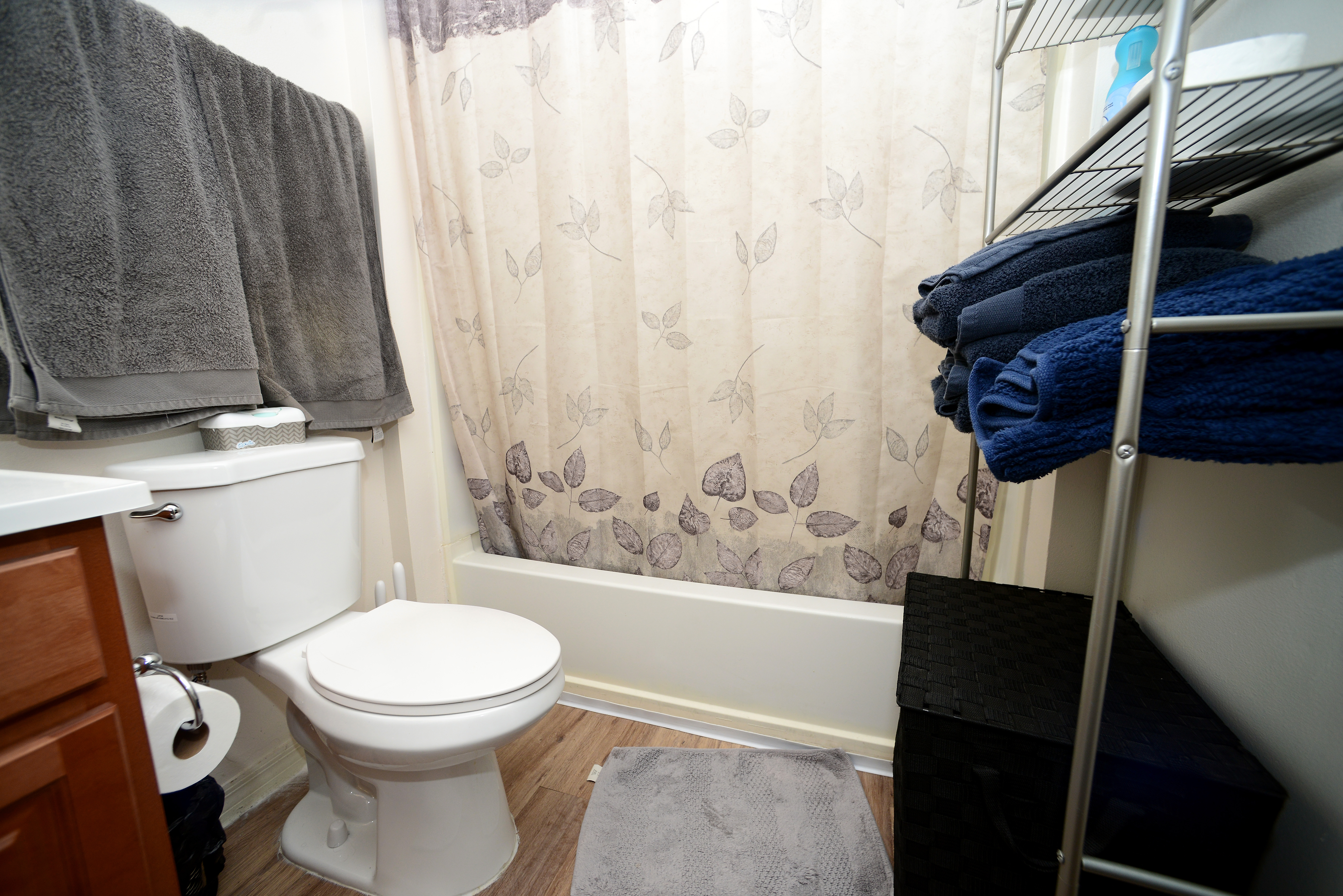 Health Officials Warn of 'Toilet Rats' Following Washington Flooding
