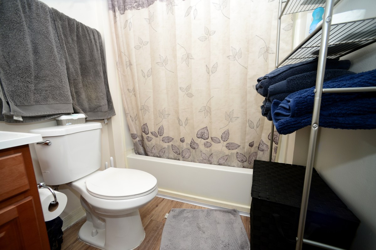 Funcionarios de salud advierten sobre “ratas de baño” después de las inundaciones en Washington