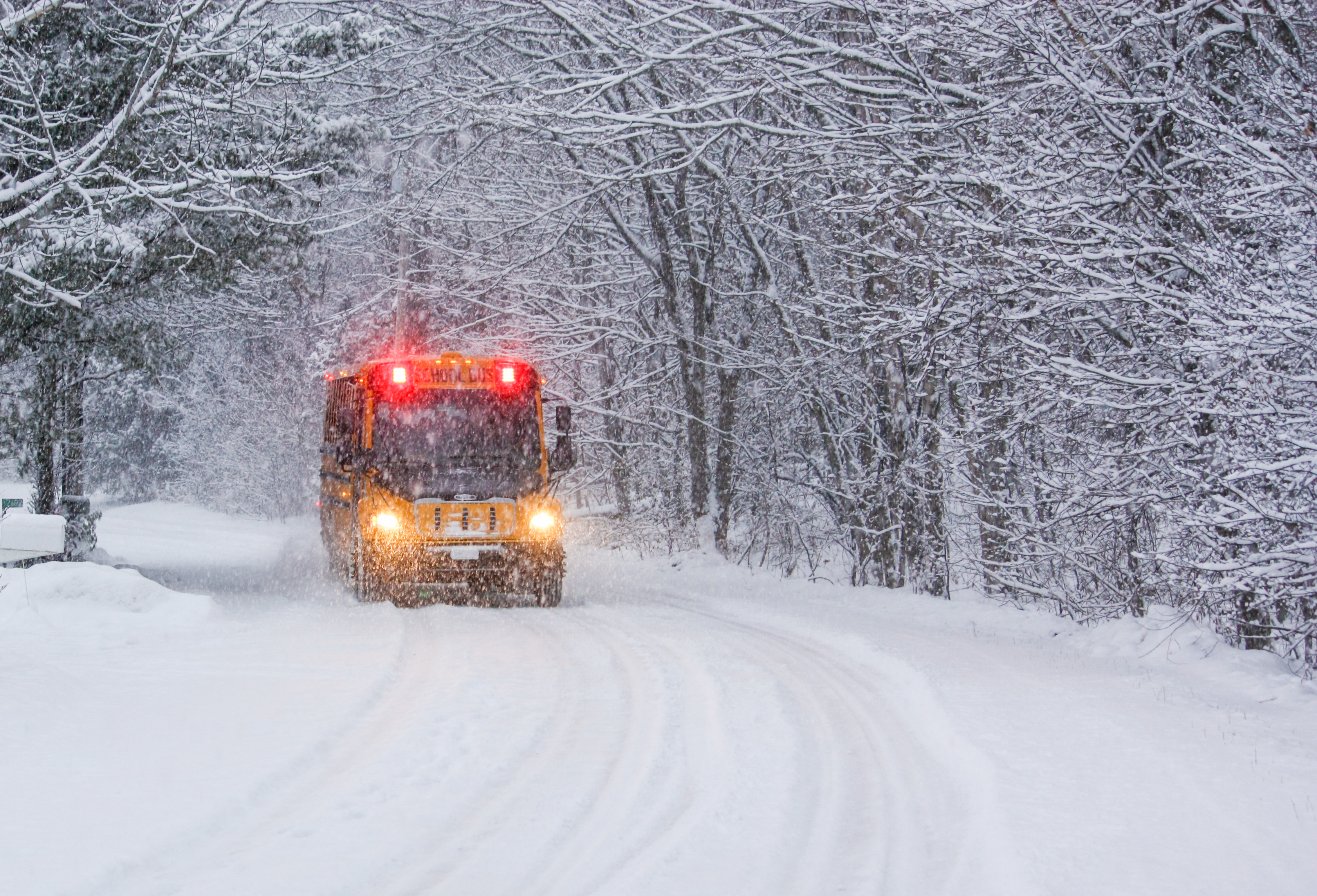 List of Schools Closing Tuesday as Winter Snowstorm Hits