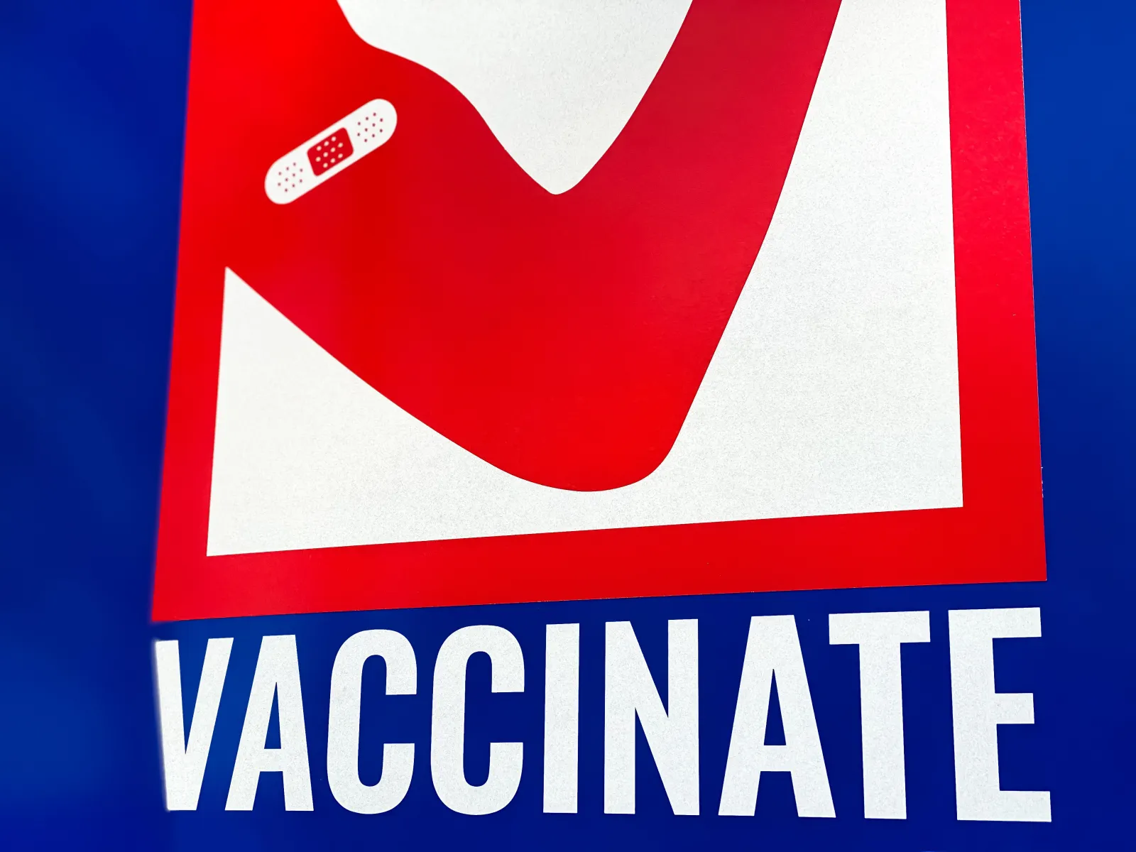 Trump and RFK Jr. May Usher in a Blue Tsunami | Opinion