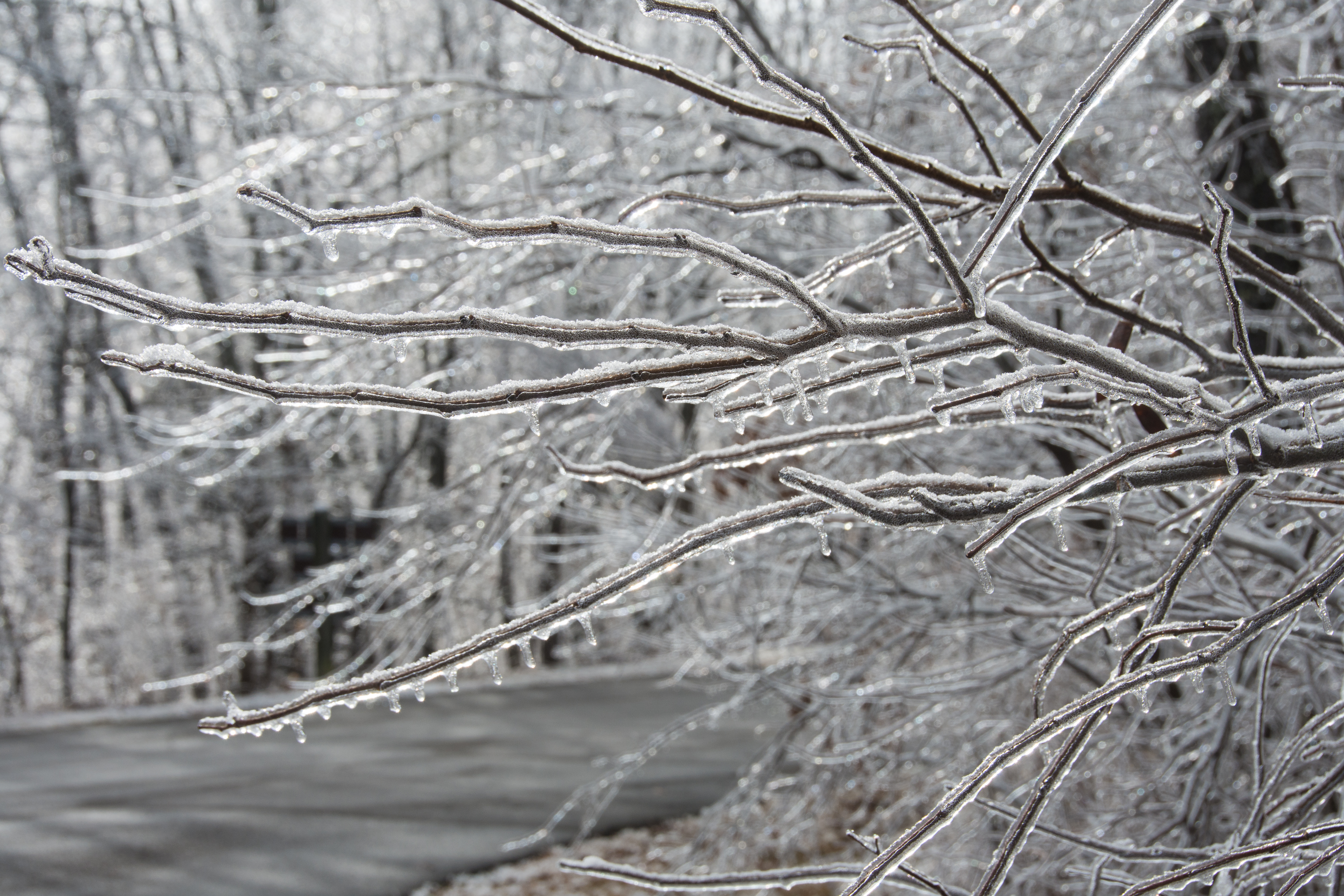 Dangerous Ice Storm to Hit US: Live Tracker Maps