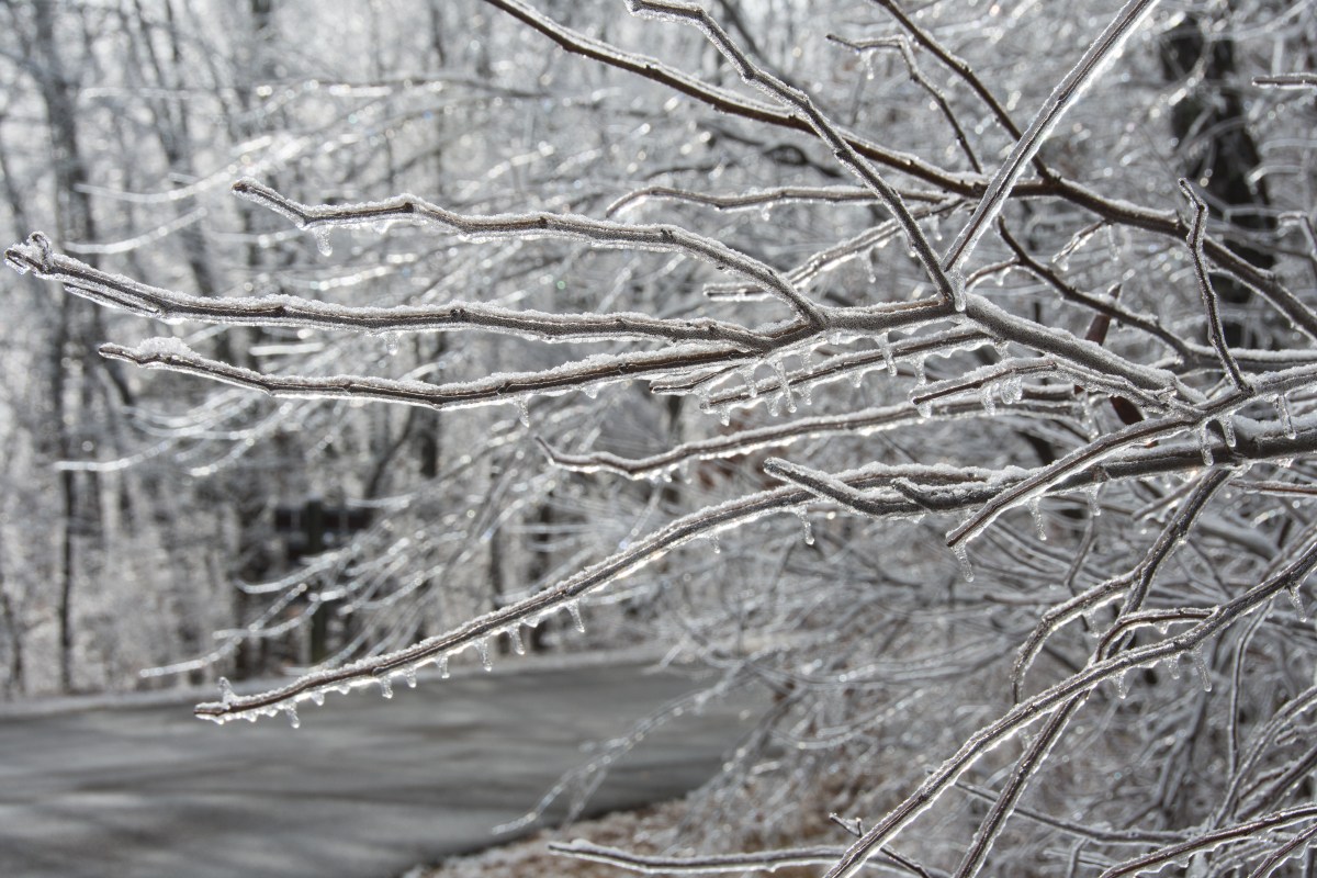 Storm of Caution: Preparing for the Ice on the Way