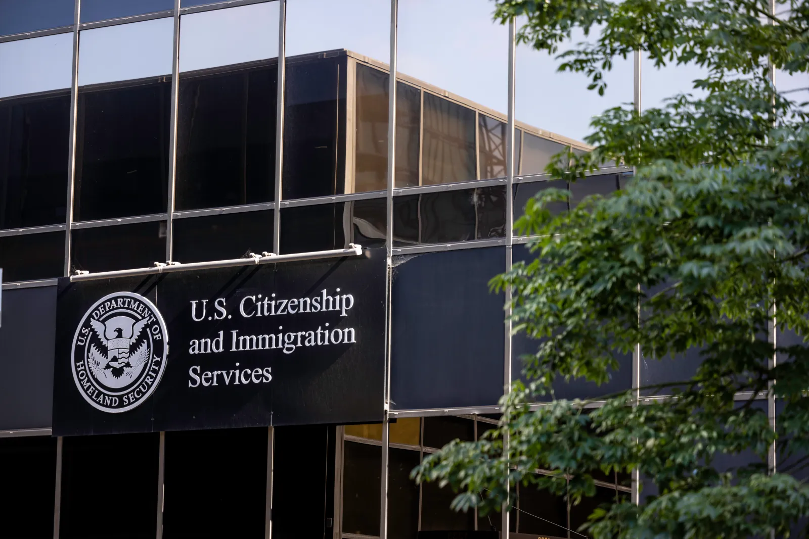 Former USCIS Officials: There Is a Quiet Immigration Crisis No One Is Watching | Opinion