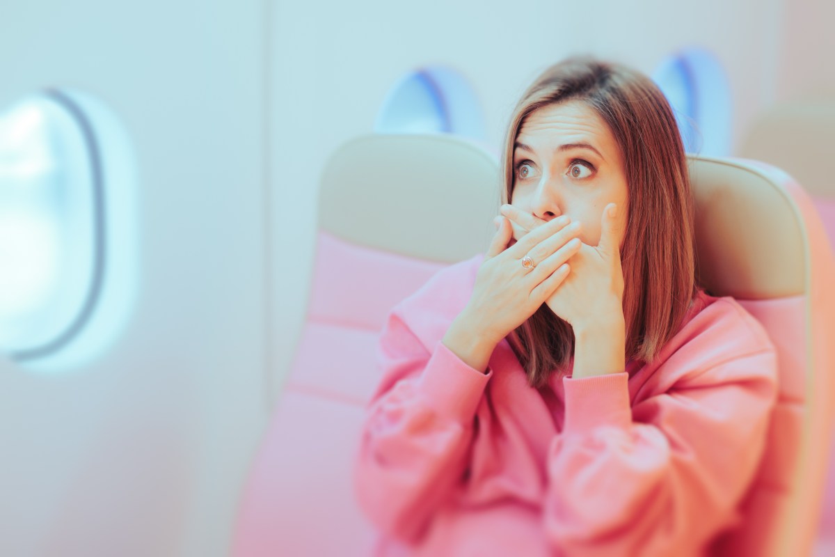 Empty Seats, Full Stories: A Passenger's Dream Flight Experience