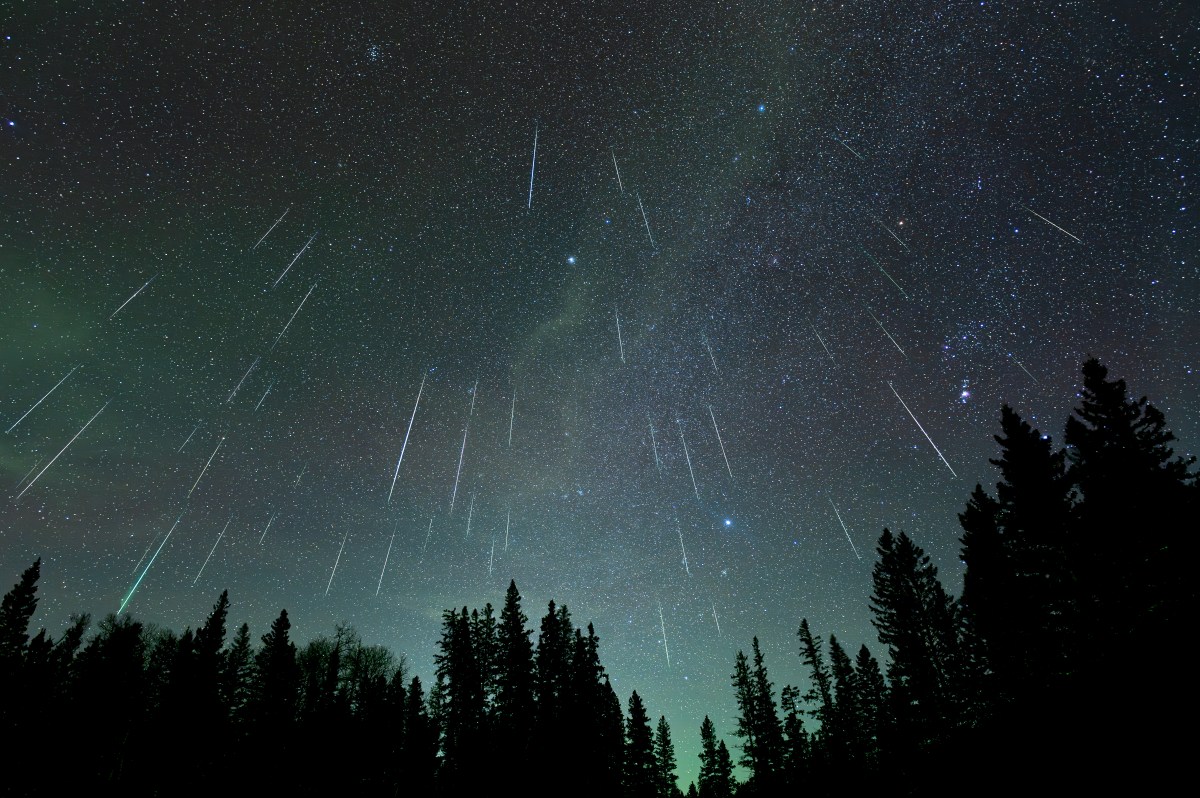 Geminids Meteor Shower: Where and When To See Light Show Peak