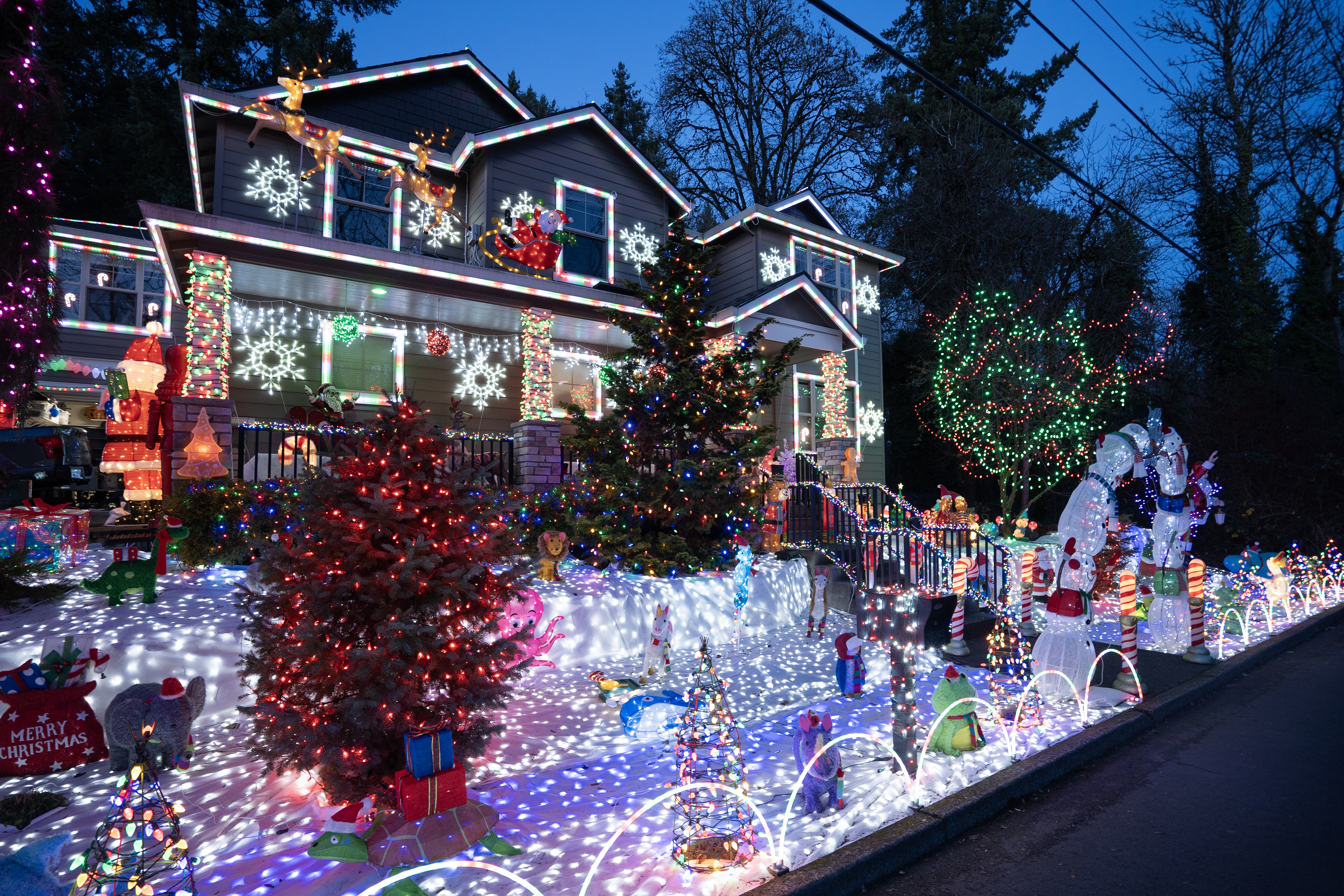 Christmas Decorations on Street Go Viral but Internet Has 1 Major Concern