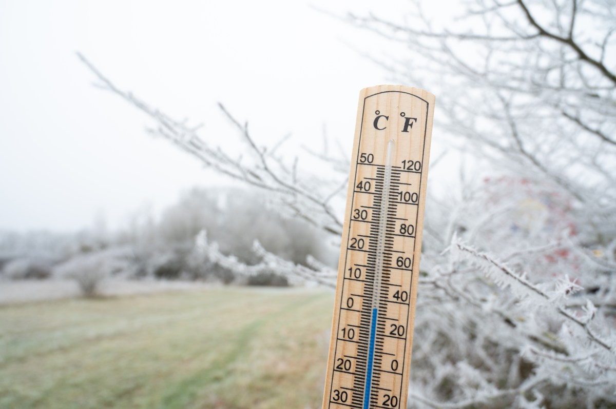 Florida Faces Unseasonably Cold Temperatures as Polar Vortex Descends