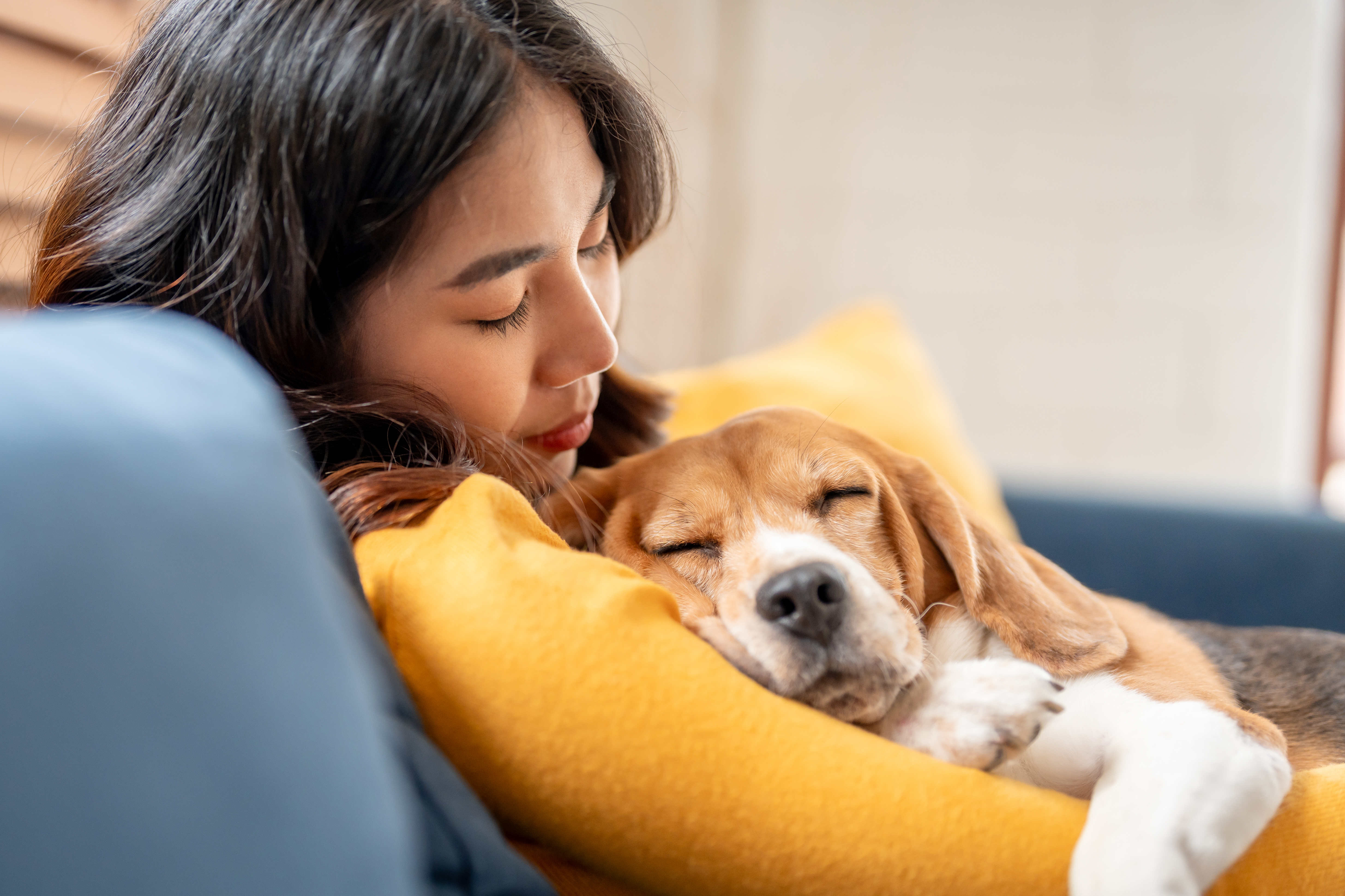 The Little Things That Prove Your Dog Loves Being Part of Family