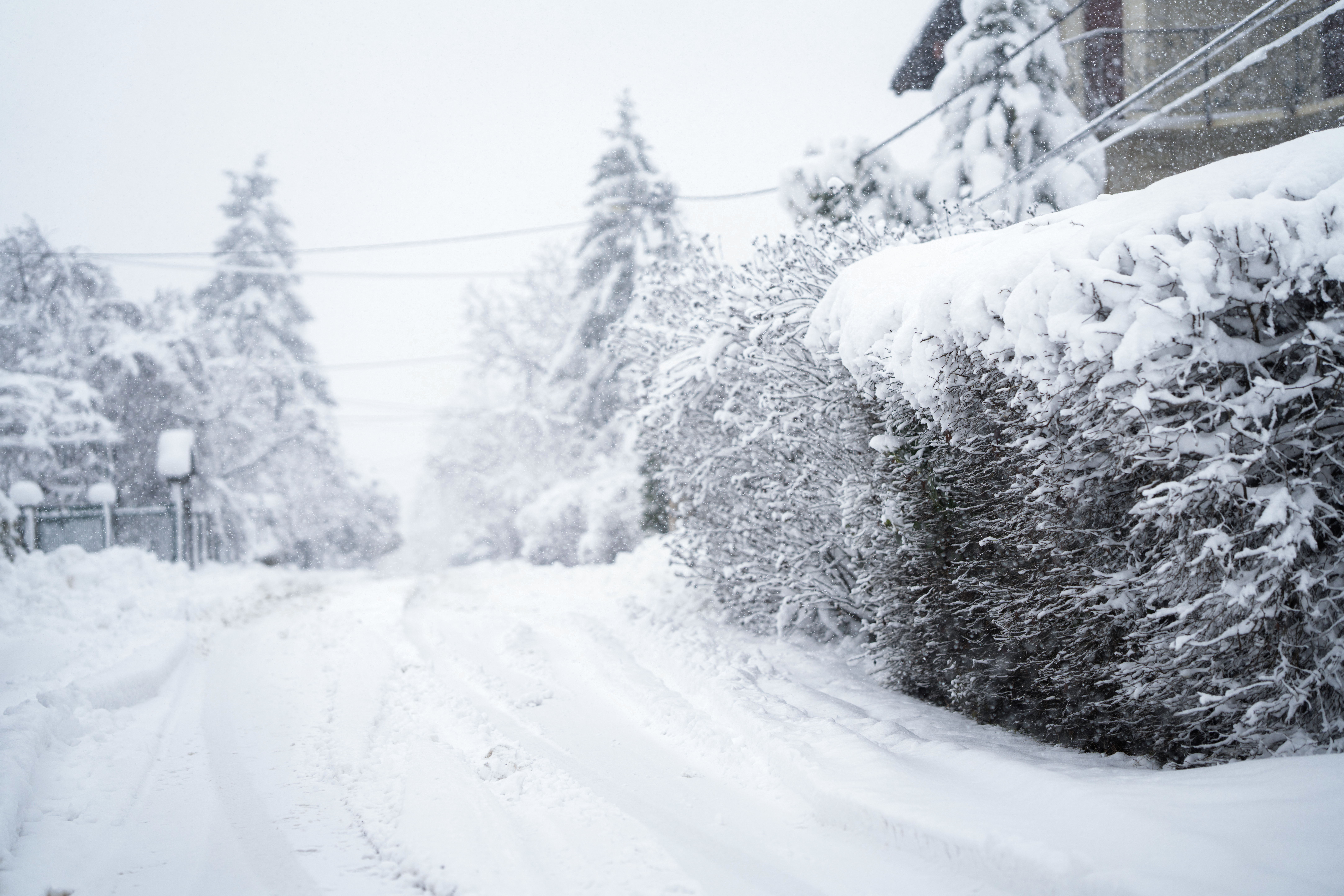 Map Shows States Already Hit by Double Normal Snowfall Before Winter Starts