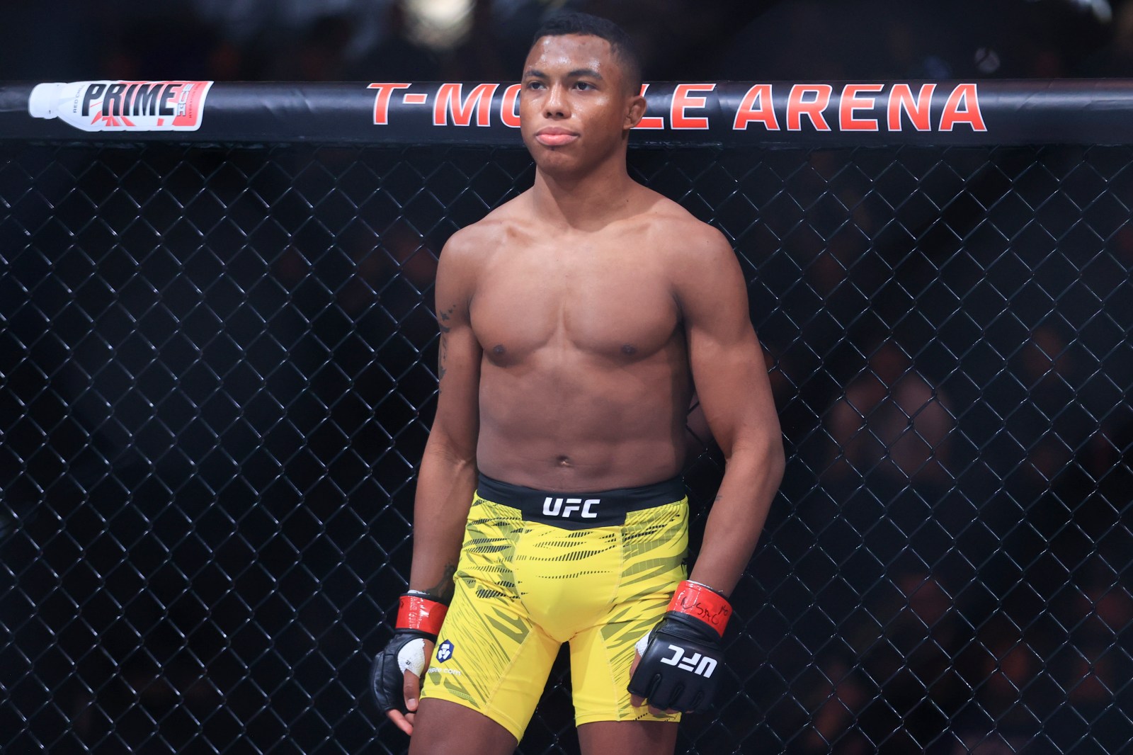 Image for UFC Opens With Devastating One-Punch Knockout